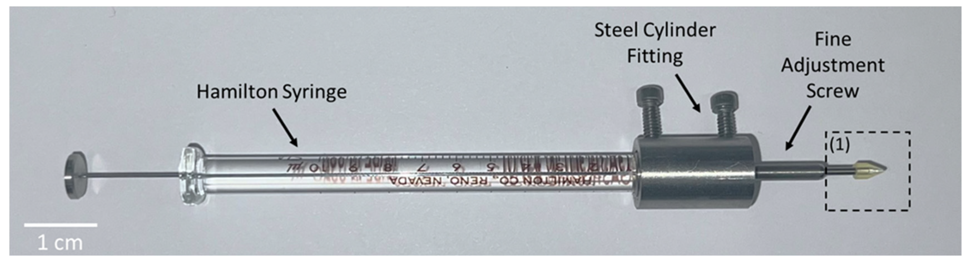 Preprints 172735 g006