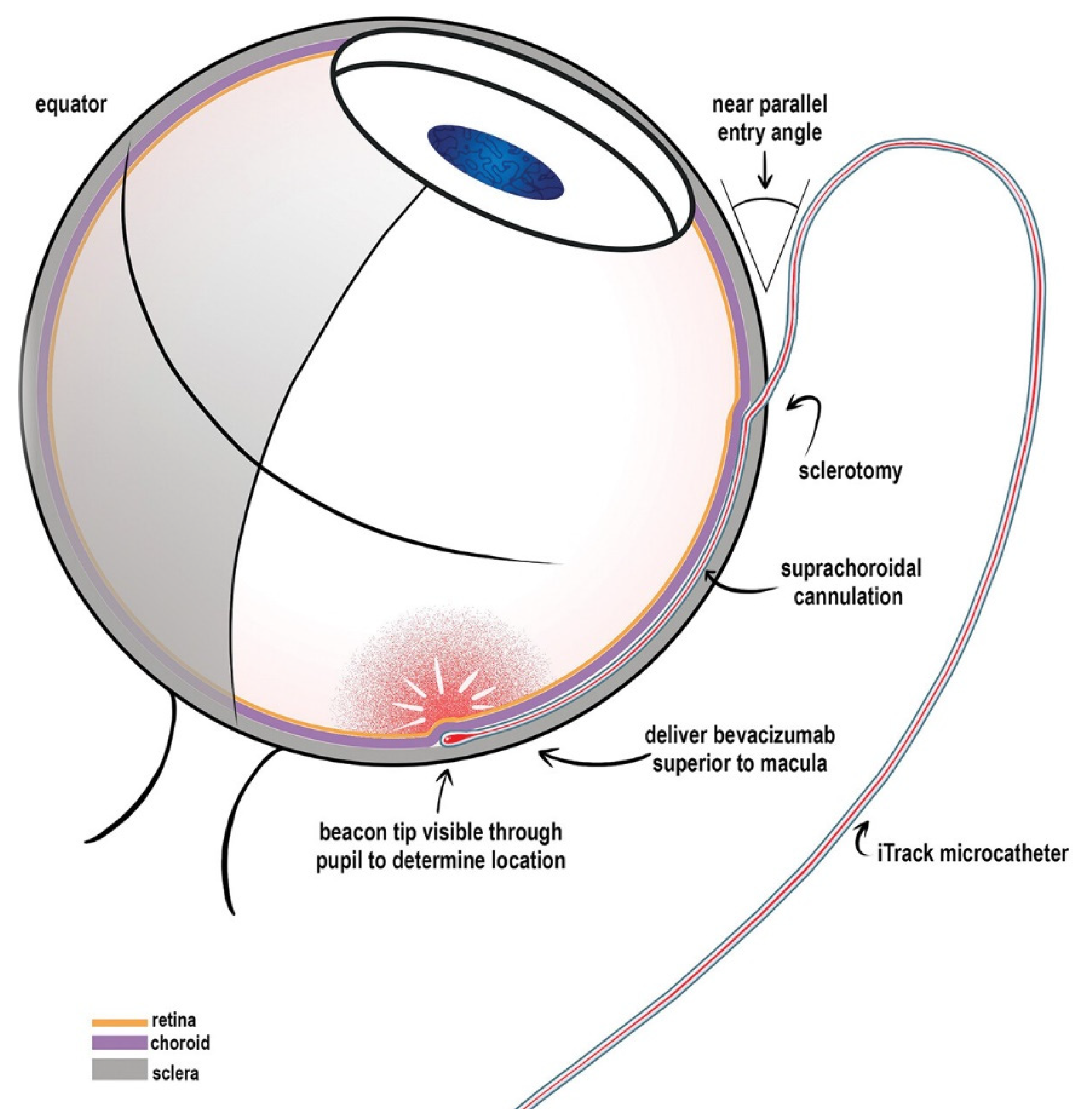 Preprints 172735 g007