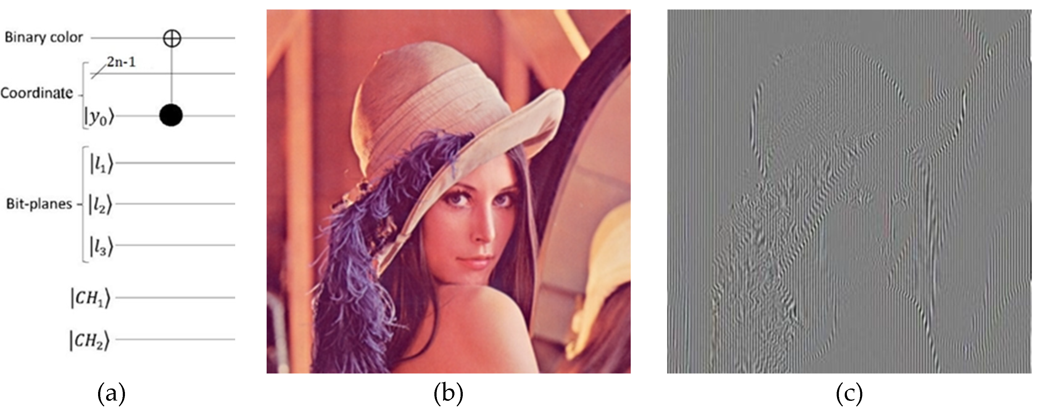 Preprints 146875 g011