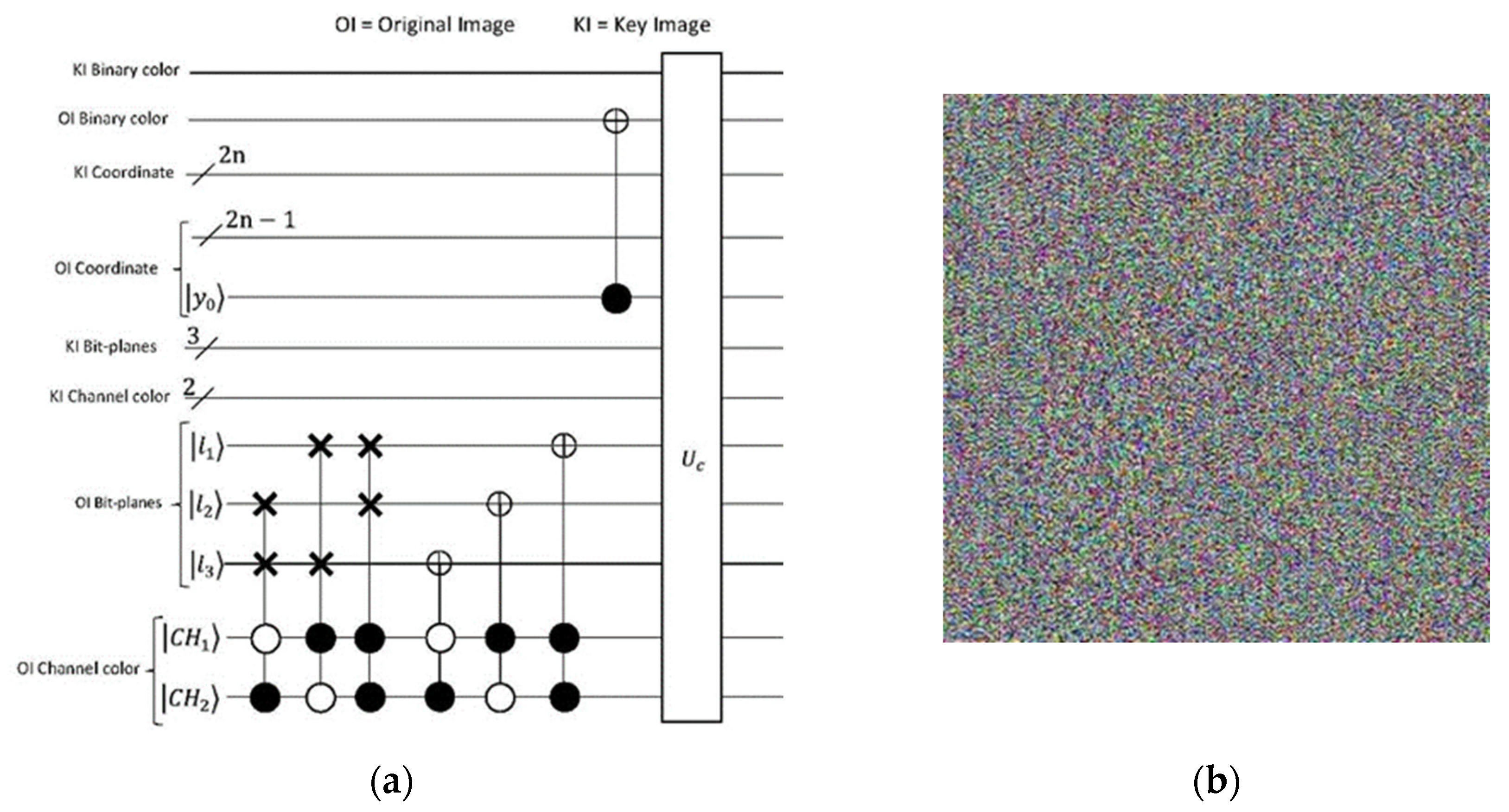 Preprints 146875 g015