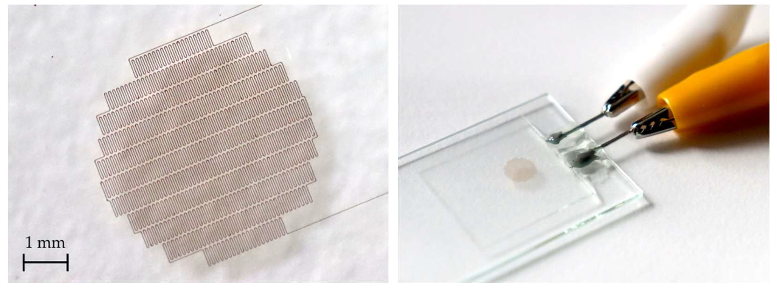 Preprints 208212 g006