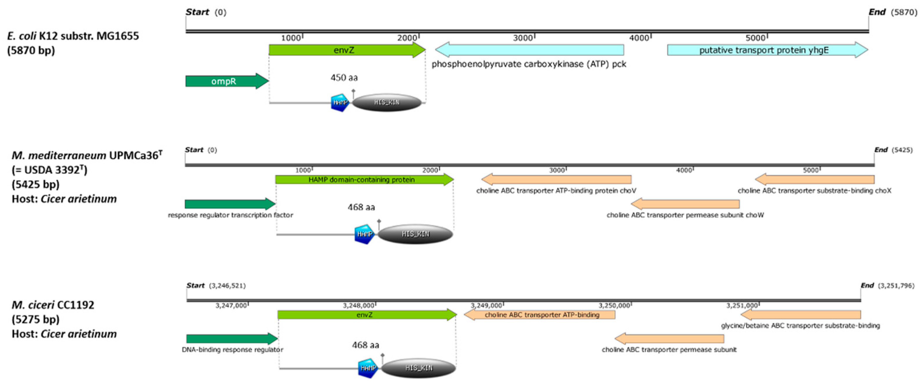 Preprints 155145 g001