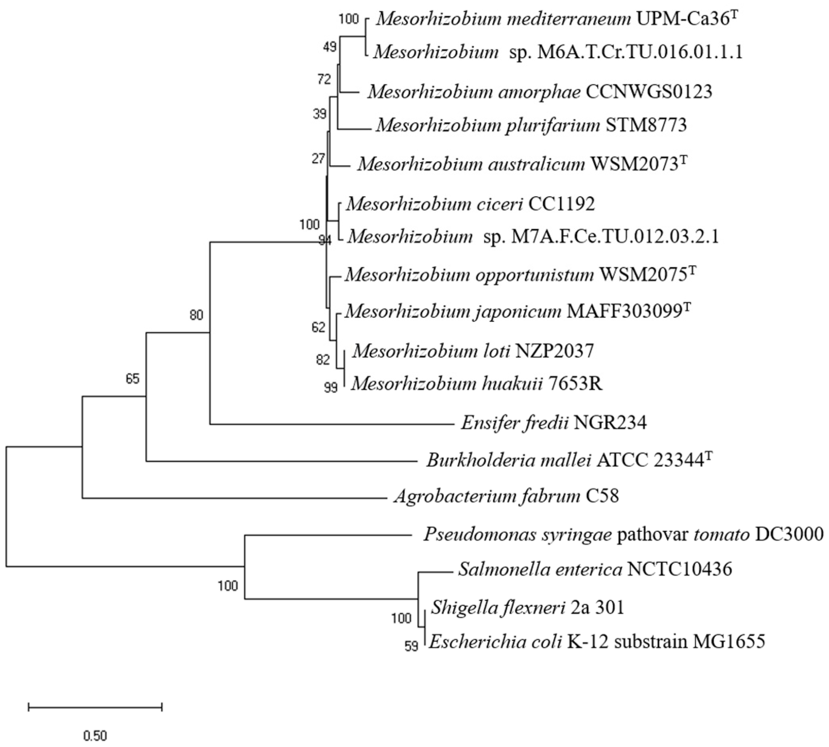 Preprints 155145 g002
