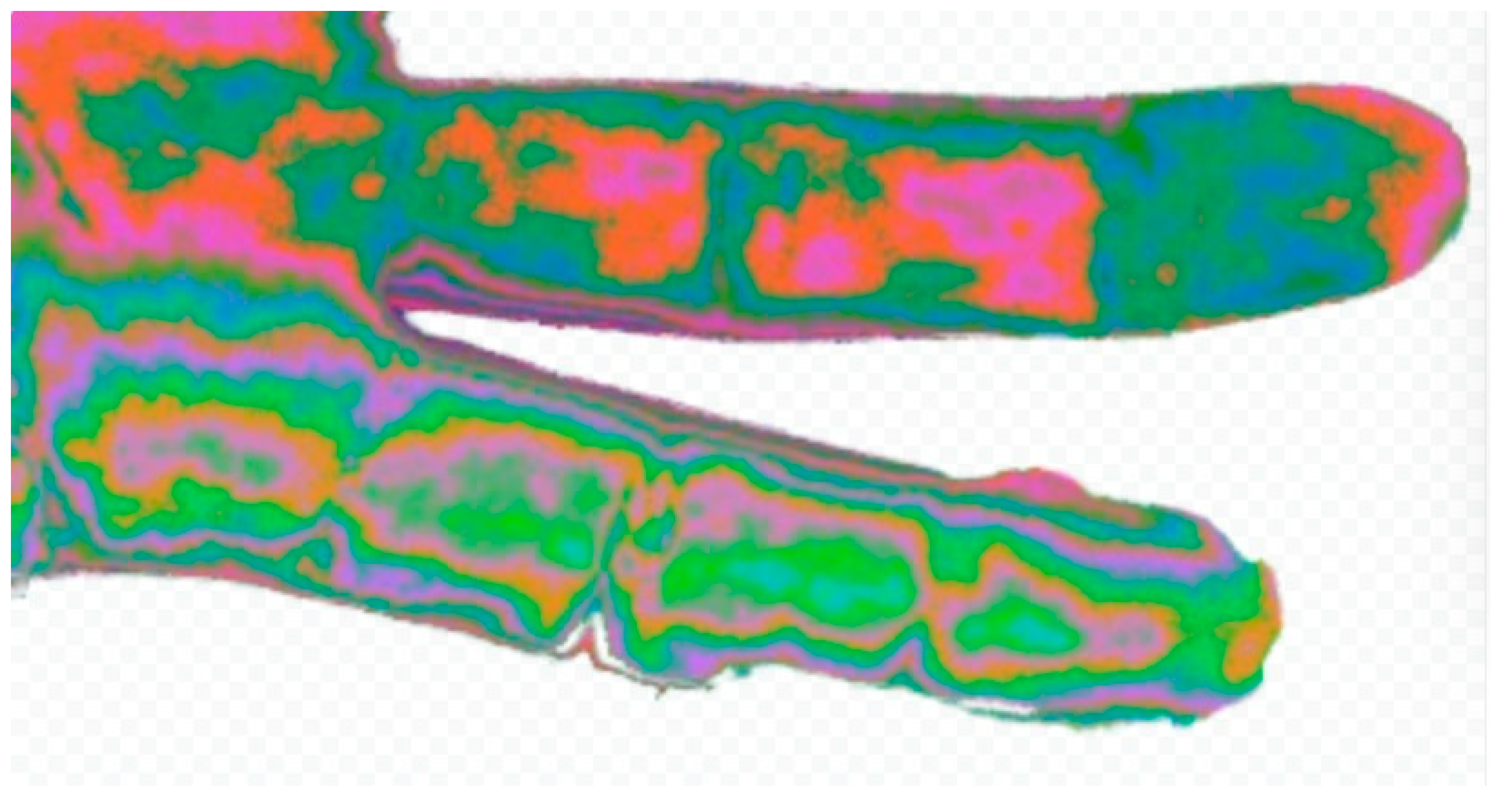 Preprints 156793 g003