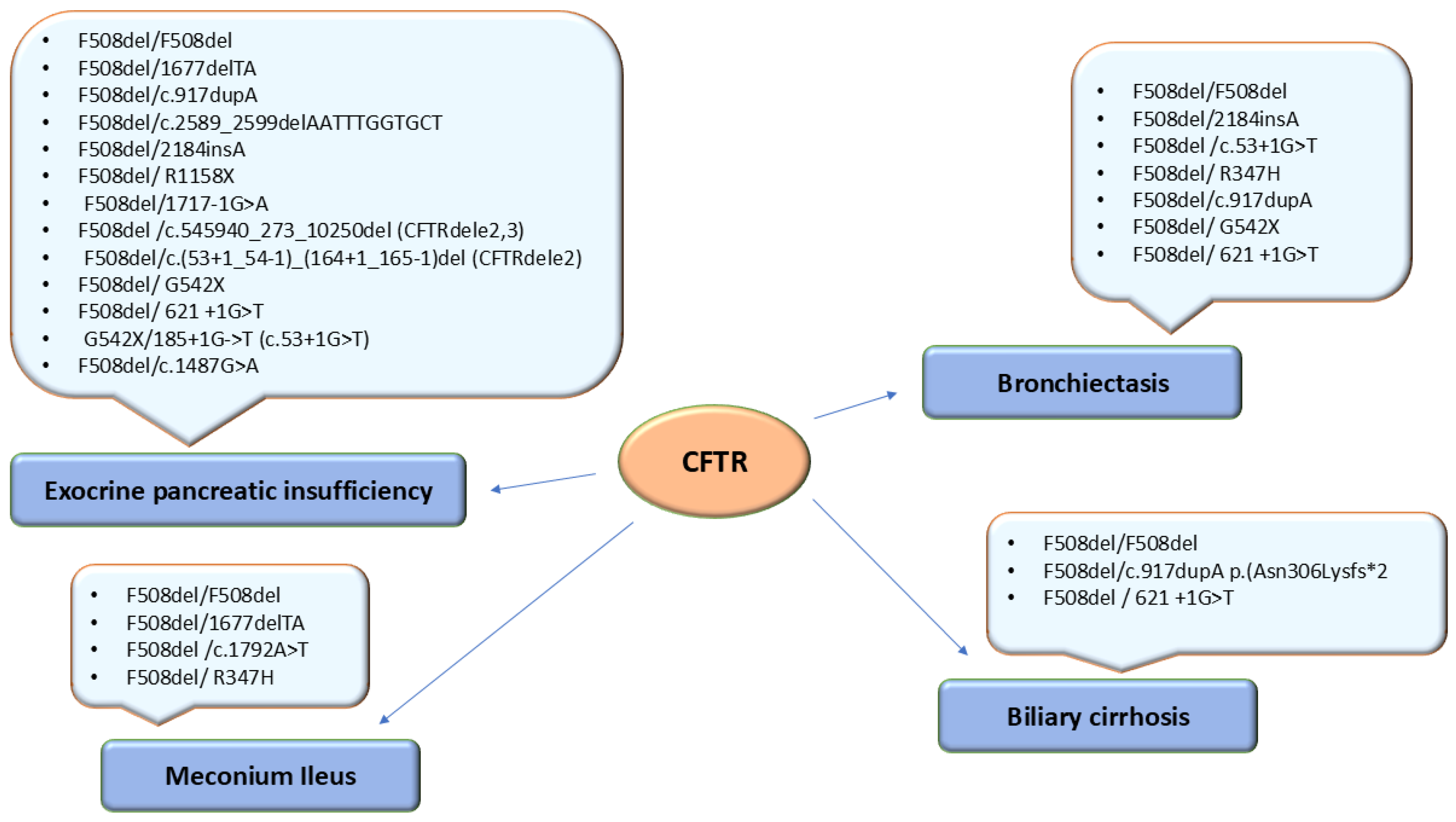 Preprints 167581 g002