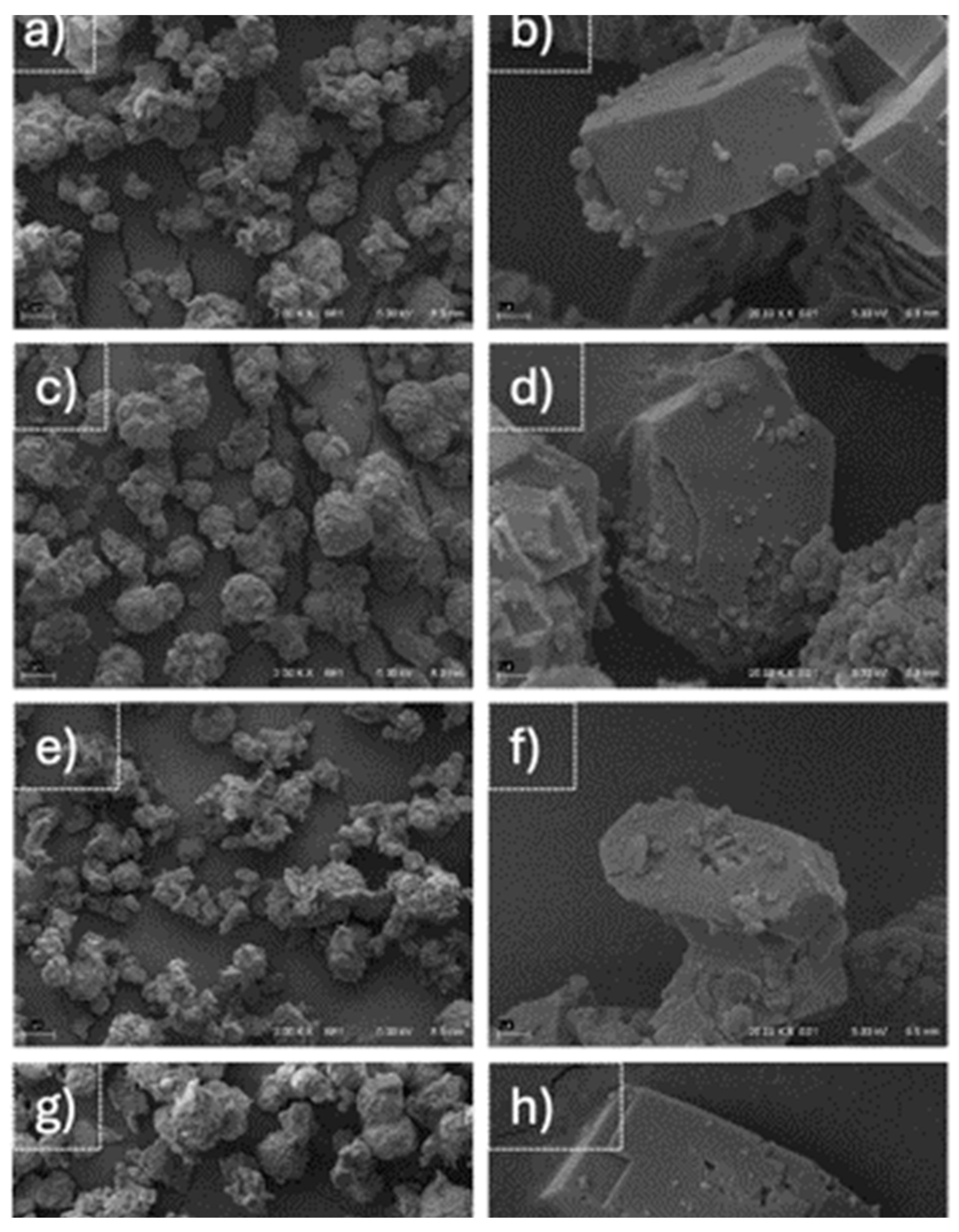 Preprints 184737 g005