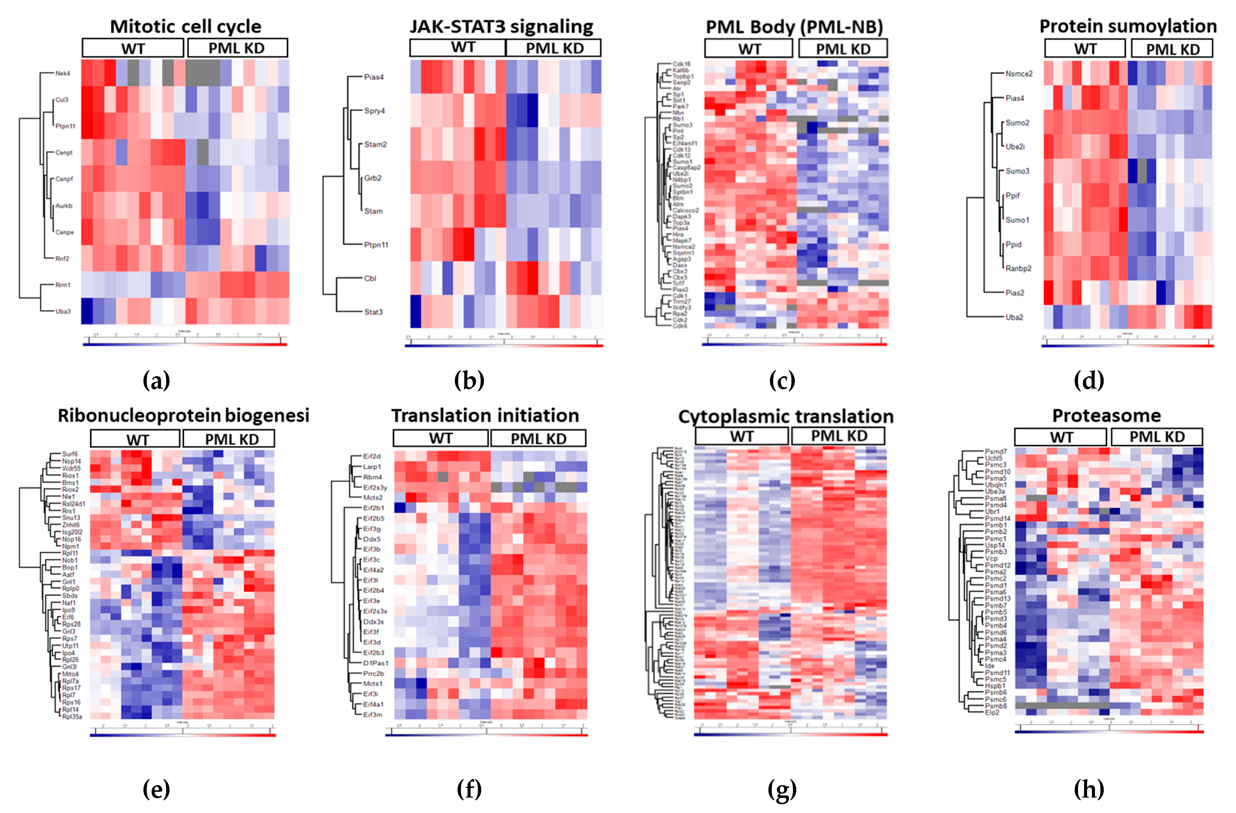 Preprints 140298 g002