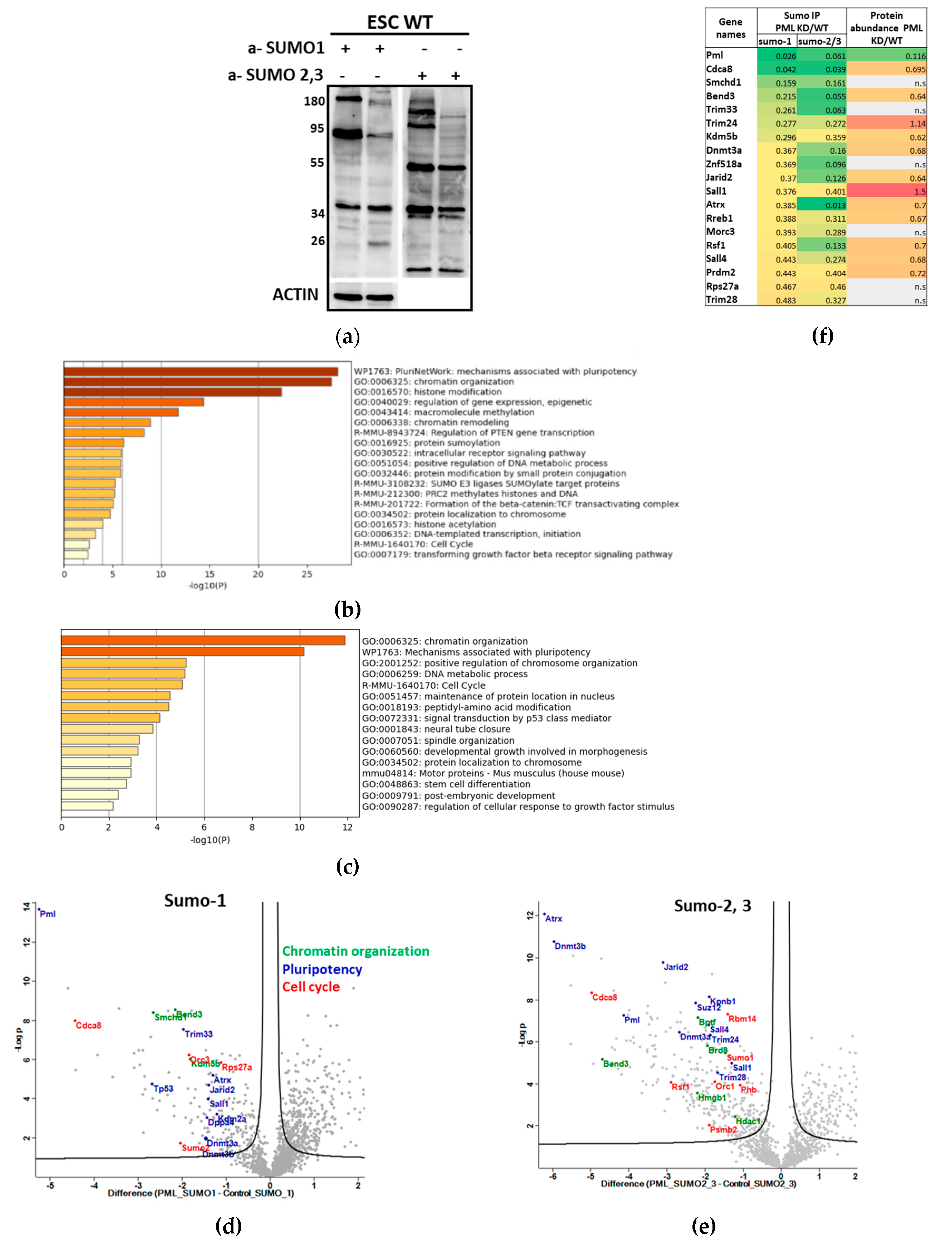 Preprints 140298 g003