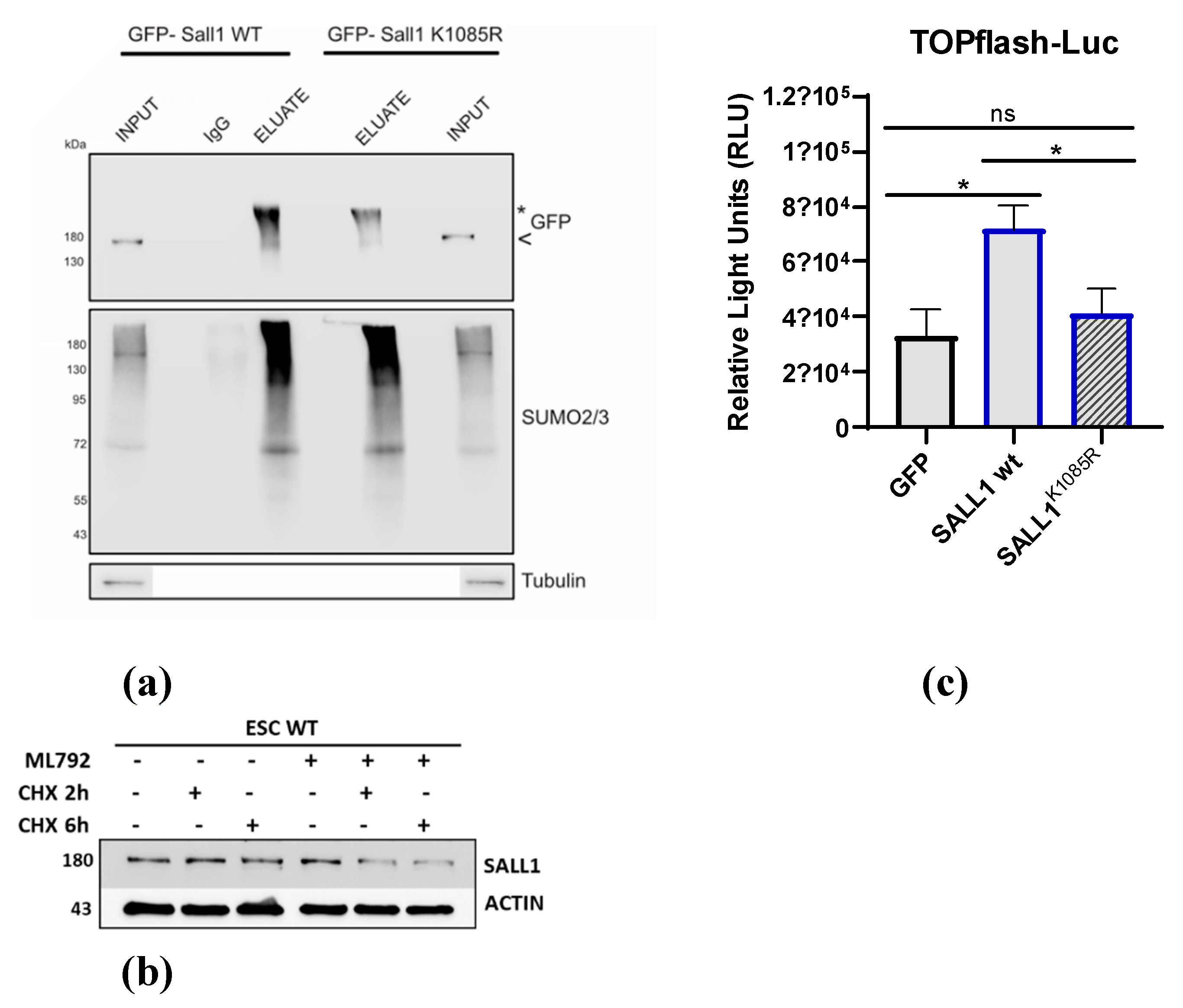 Preprints 140298 g004
