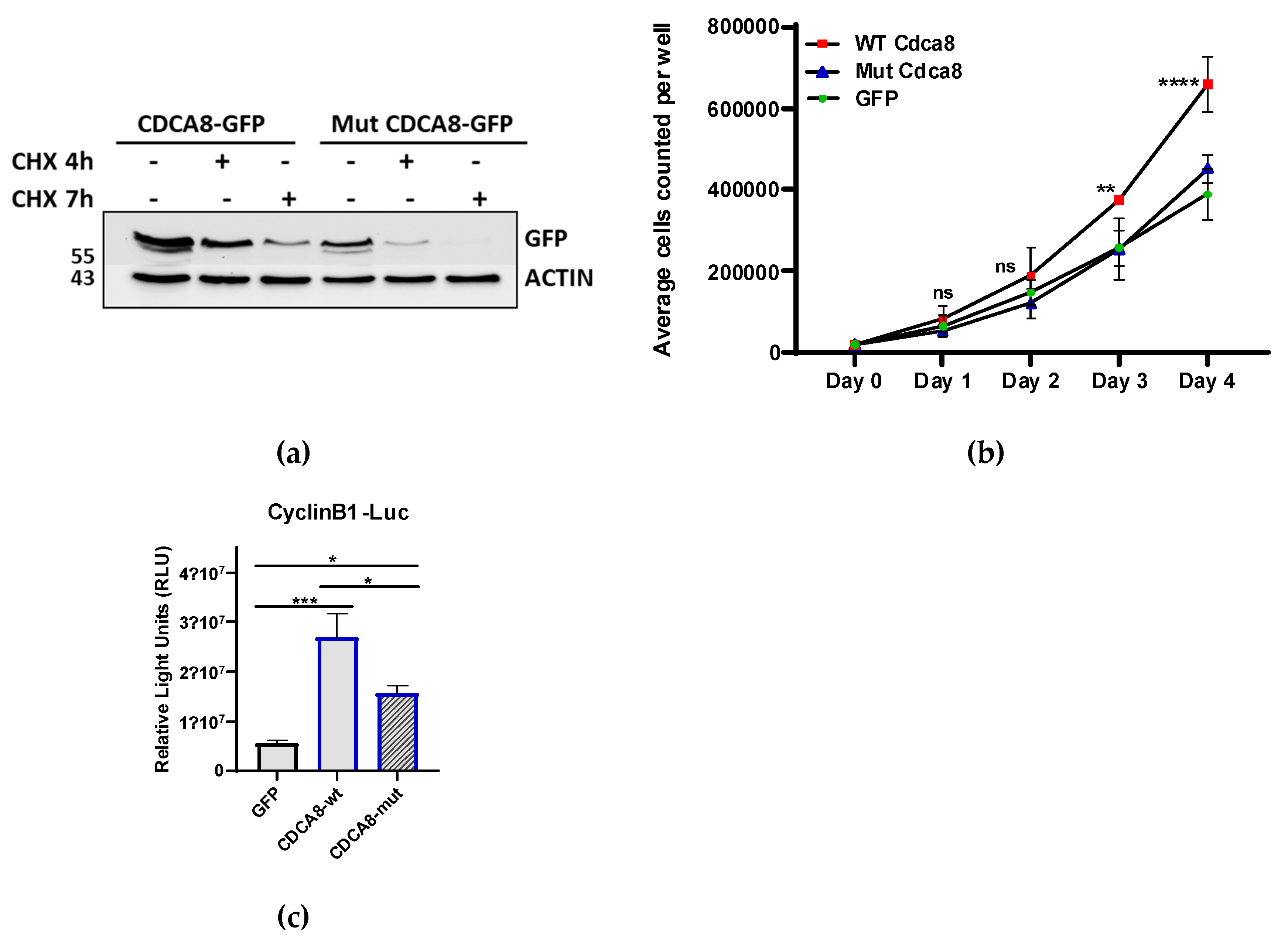 Preprints 140298 g005