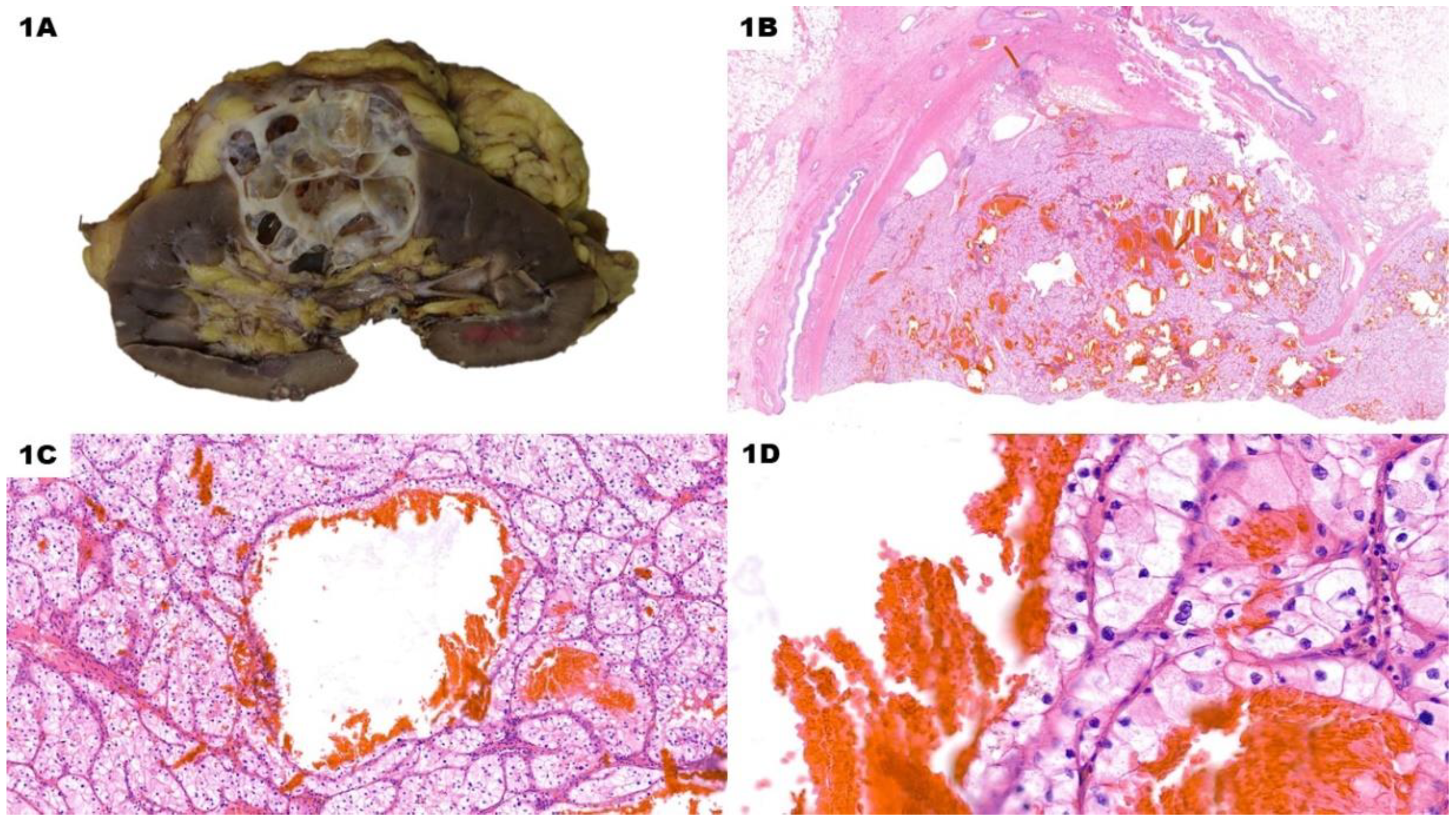 Preprints 75297 g001