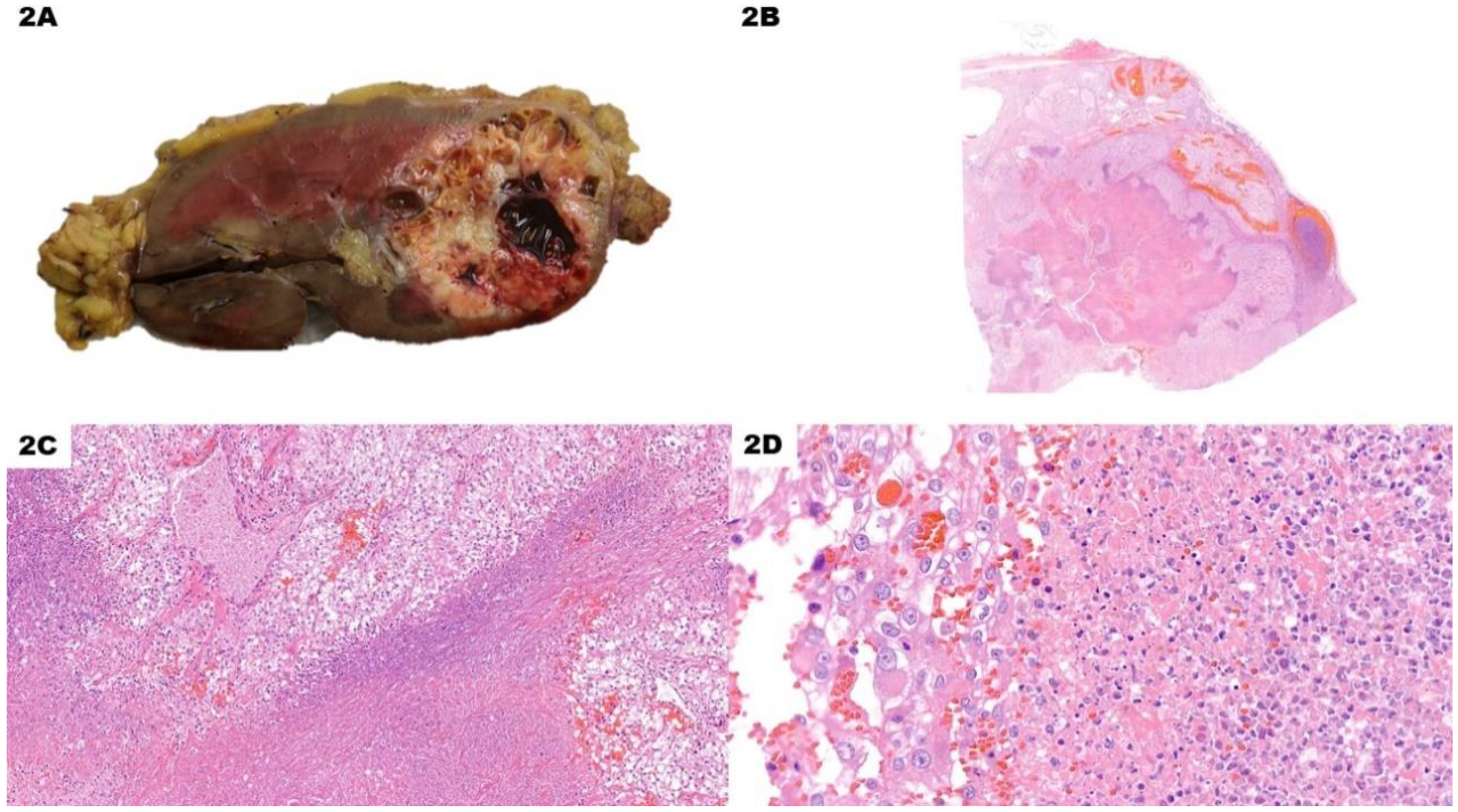 Preprints 75297 g002