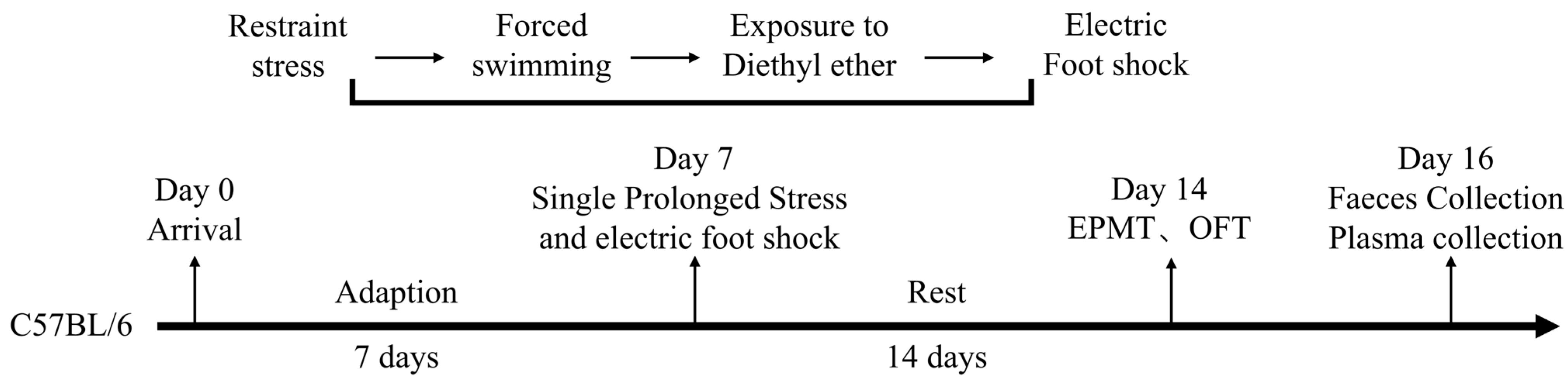 Preprints 199136 g001