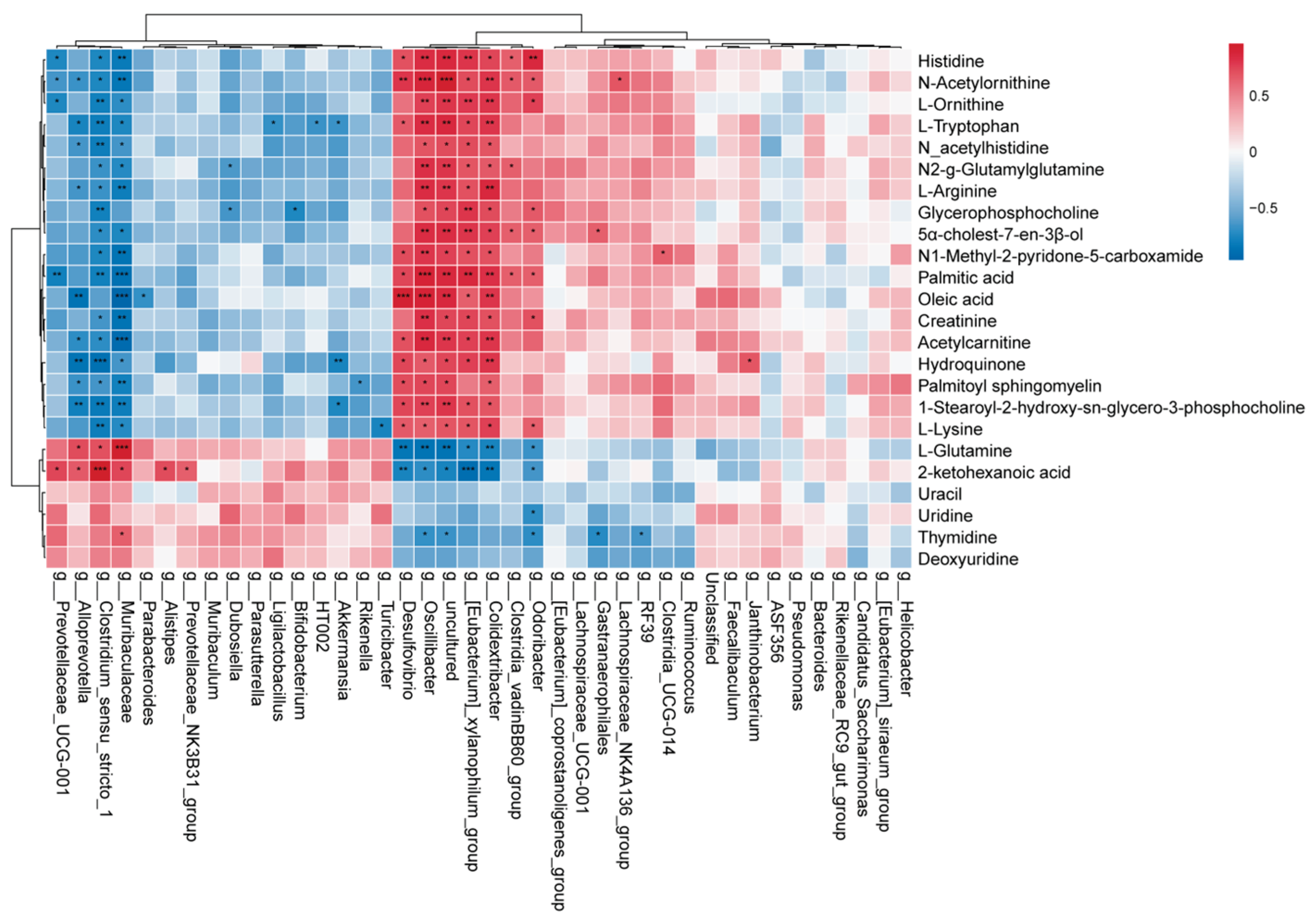 Preprints 199136 g010