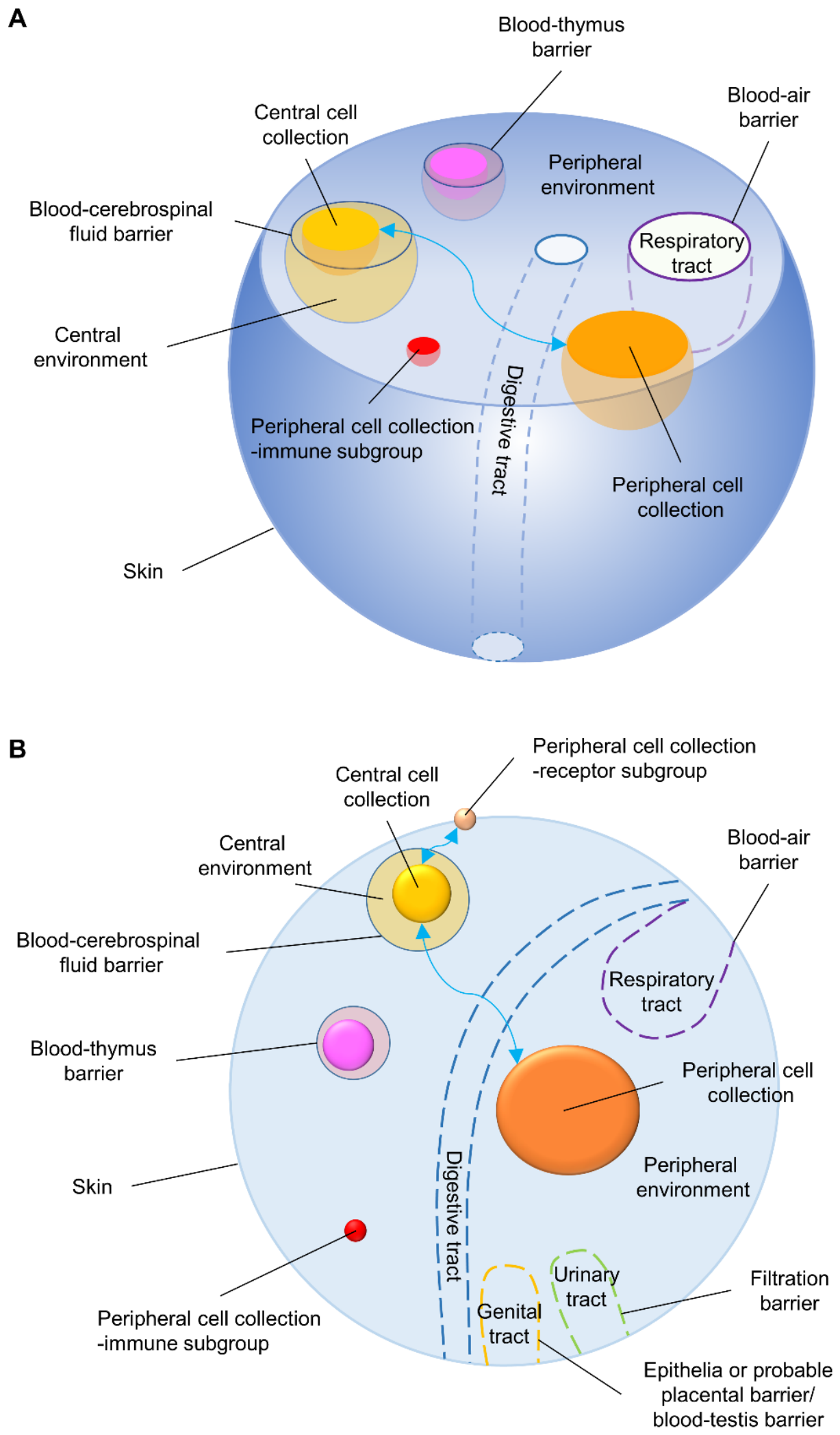Preprints 226974 g001