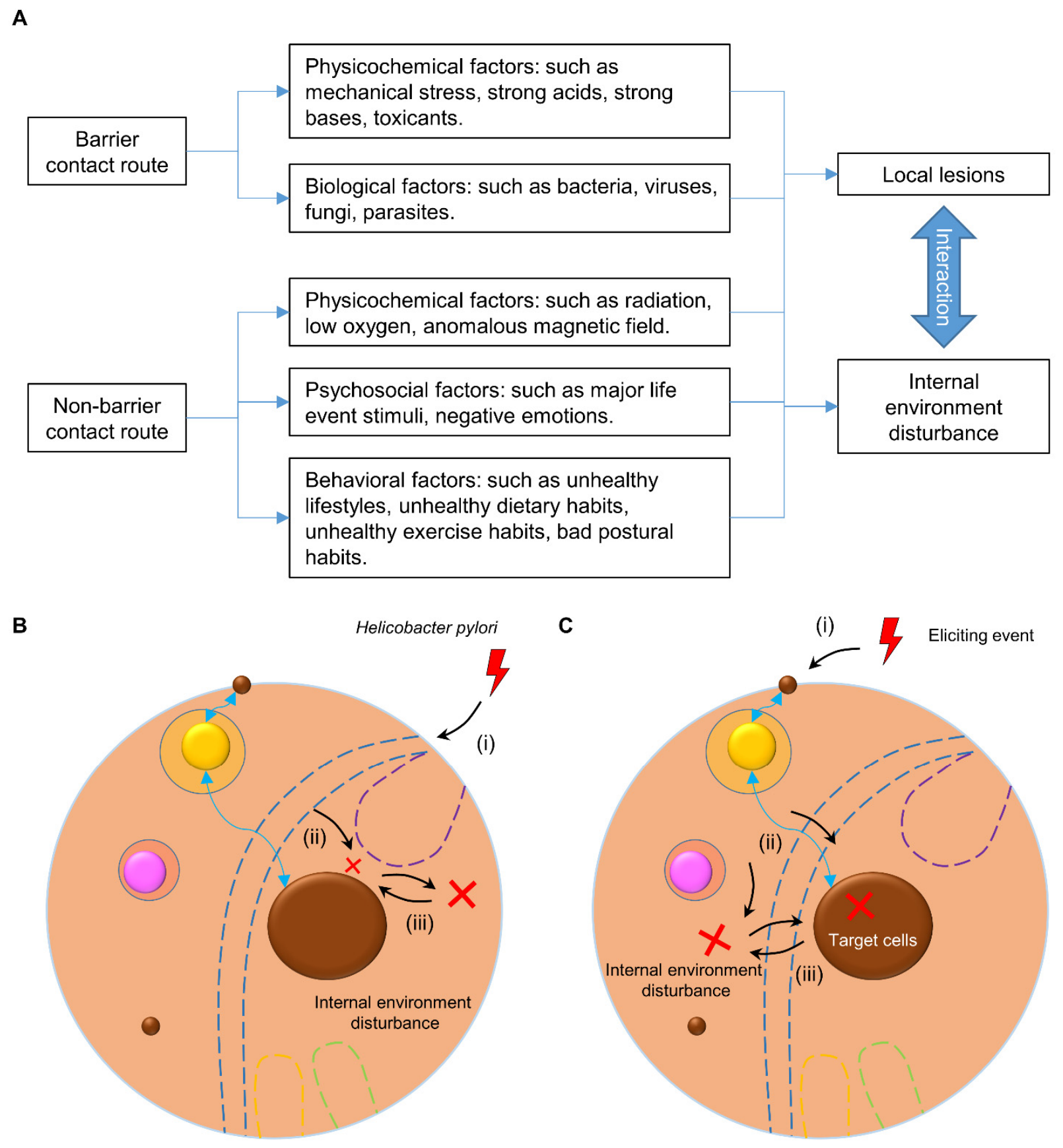 Preprints 226974 g002