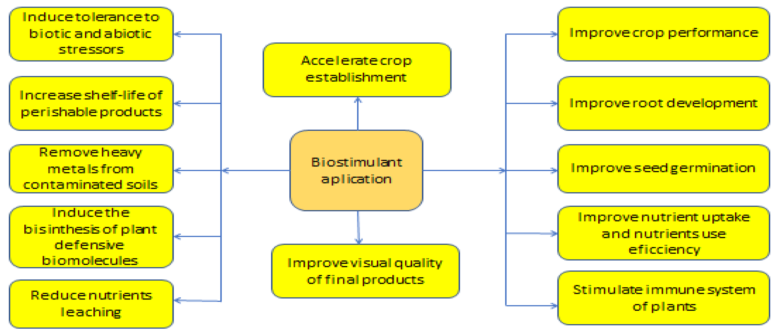 Preprints 145748 g001