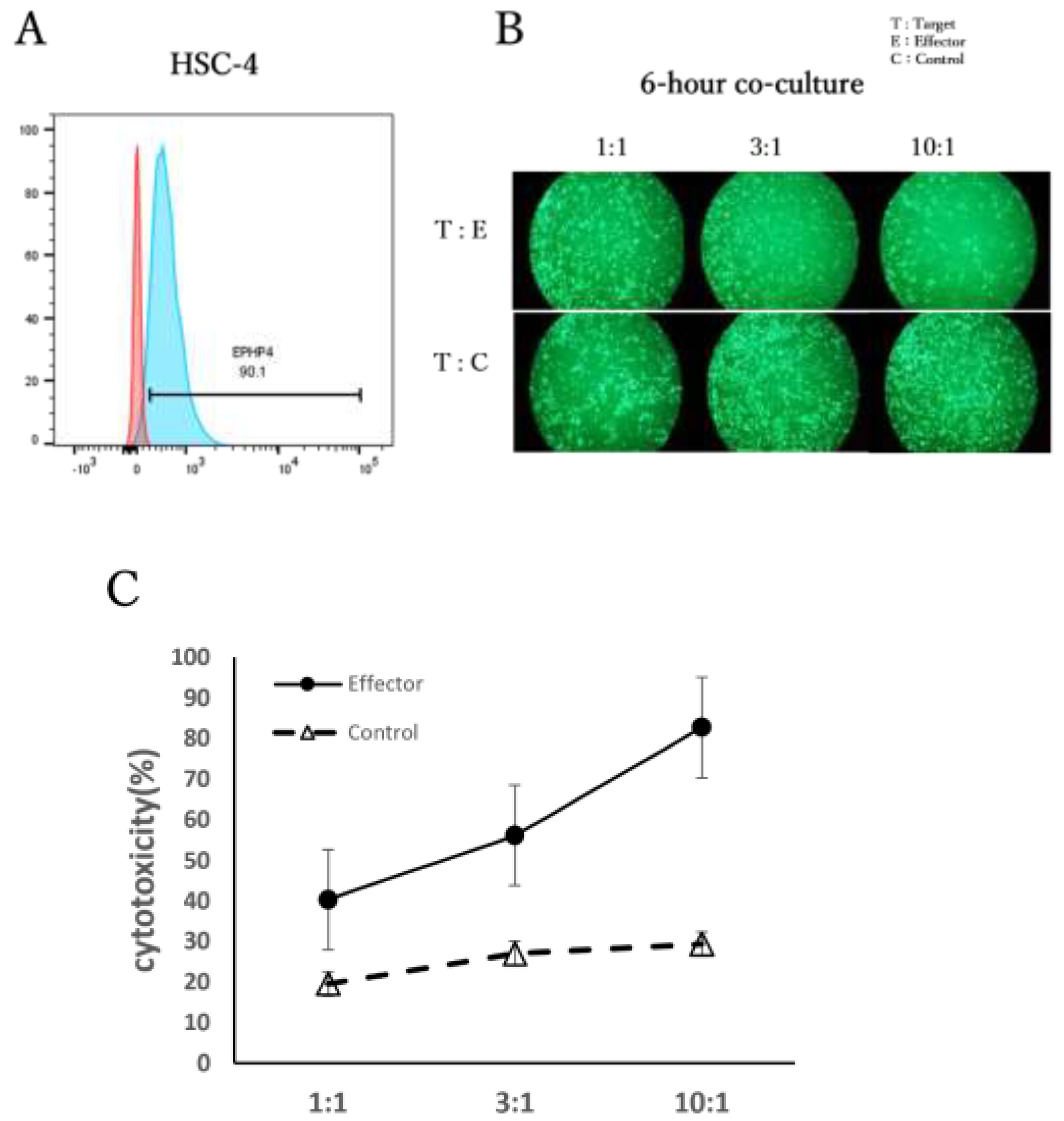 Preprints 201037 g002
