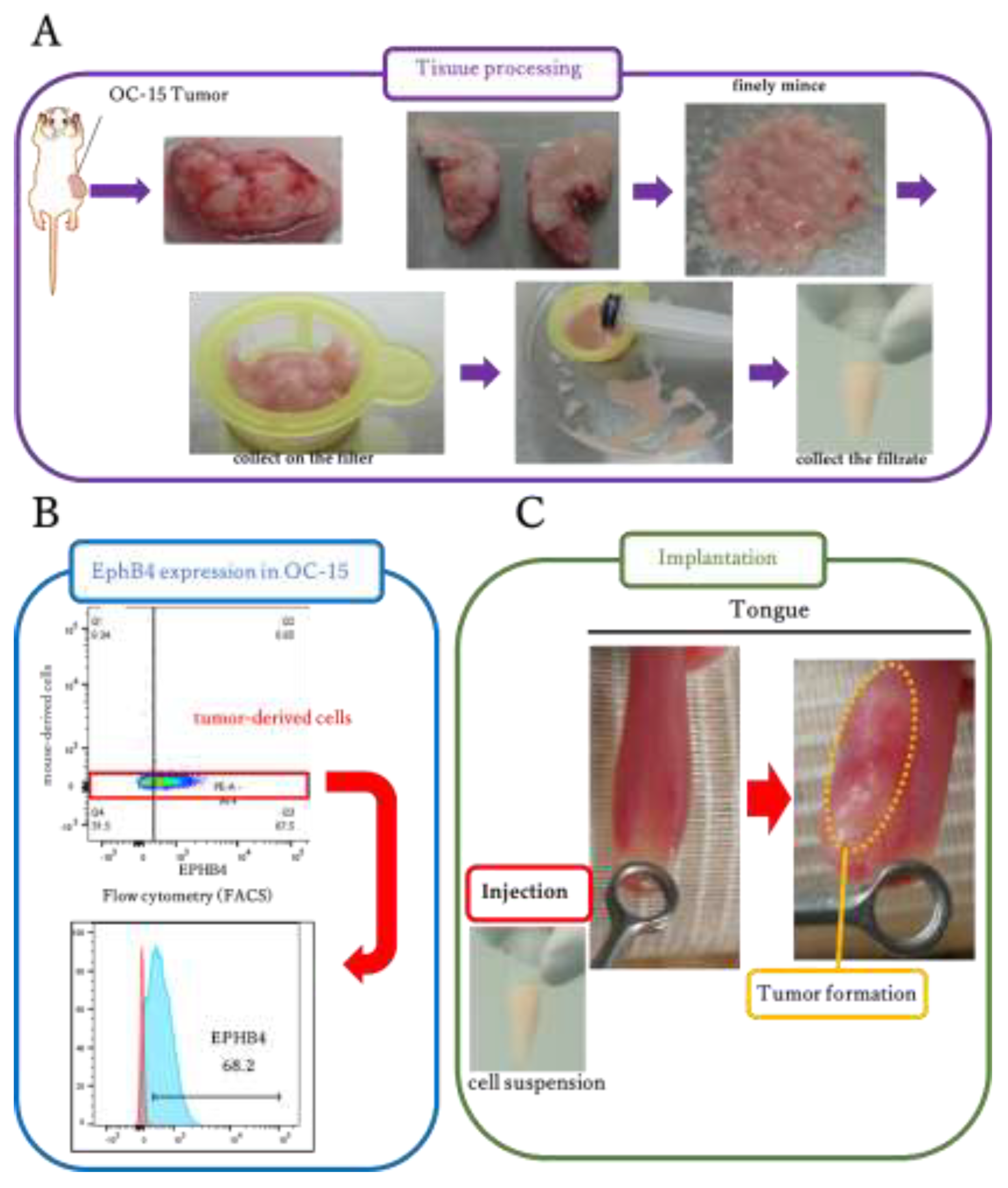 Preprints 201037 g003