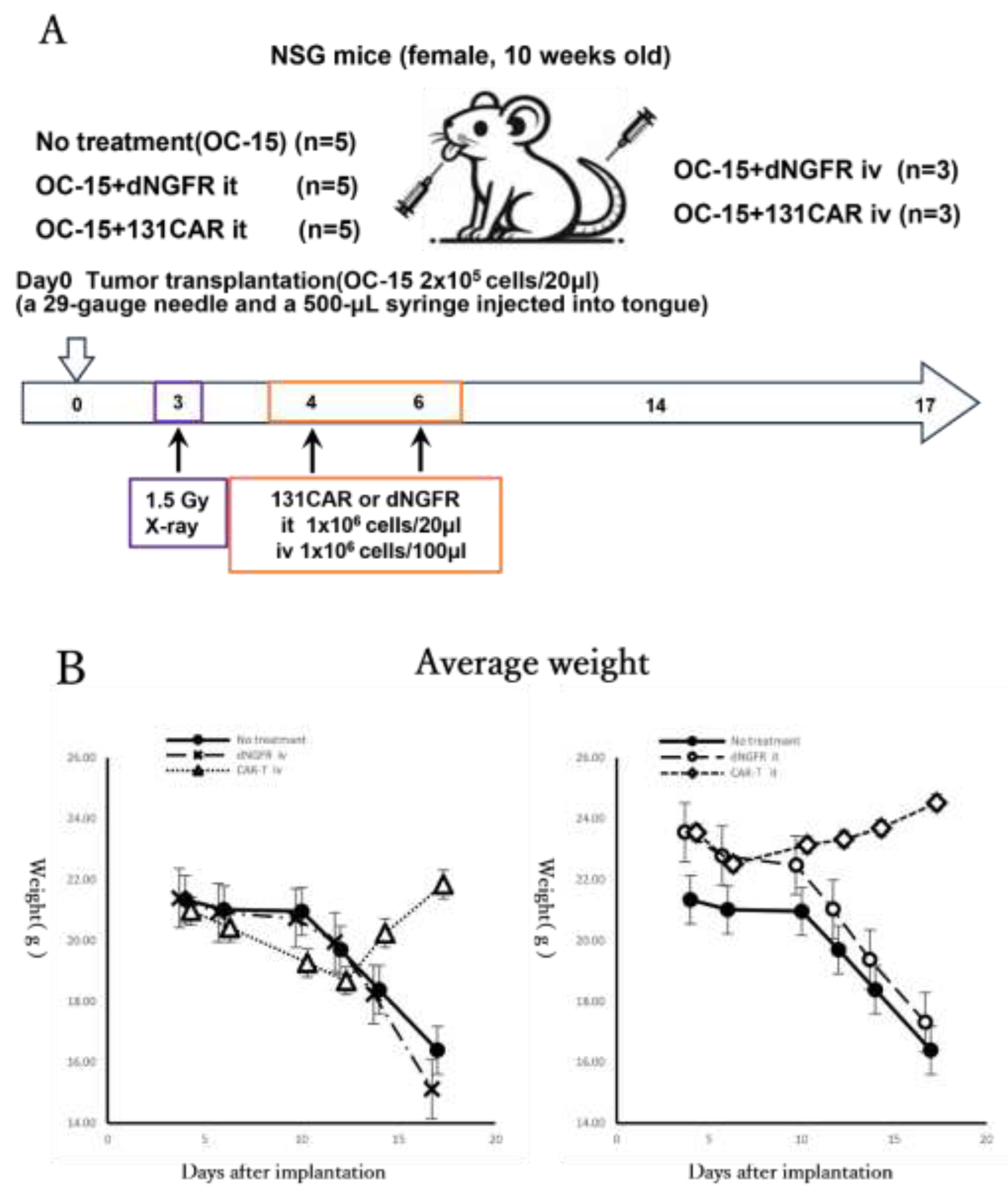 Preprints 201037 g004a