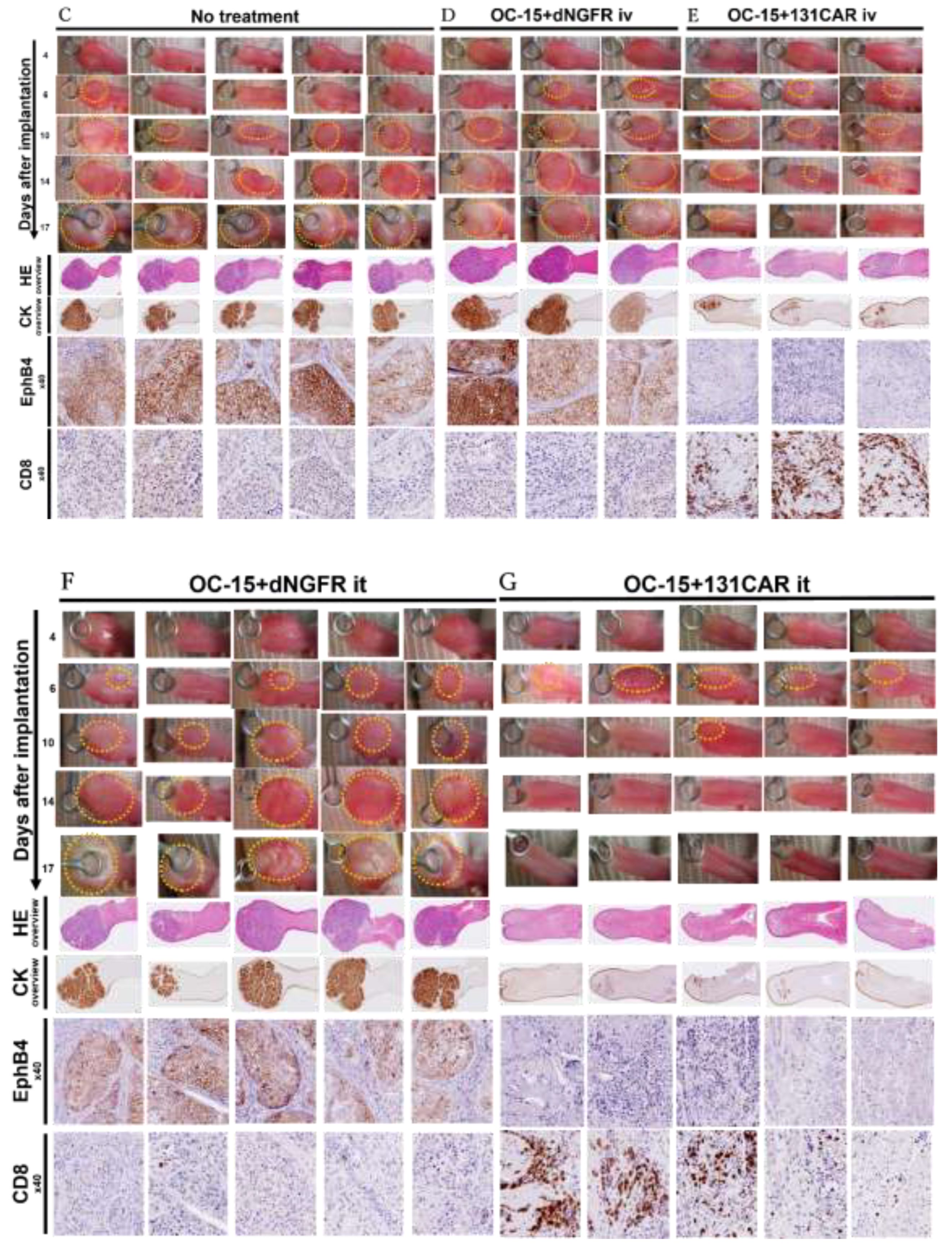 Preprints 201037 g004b