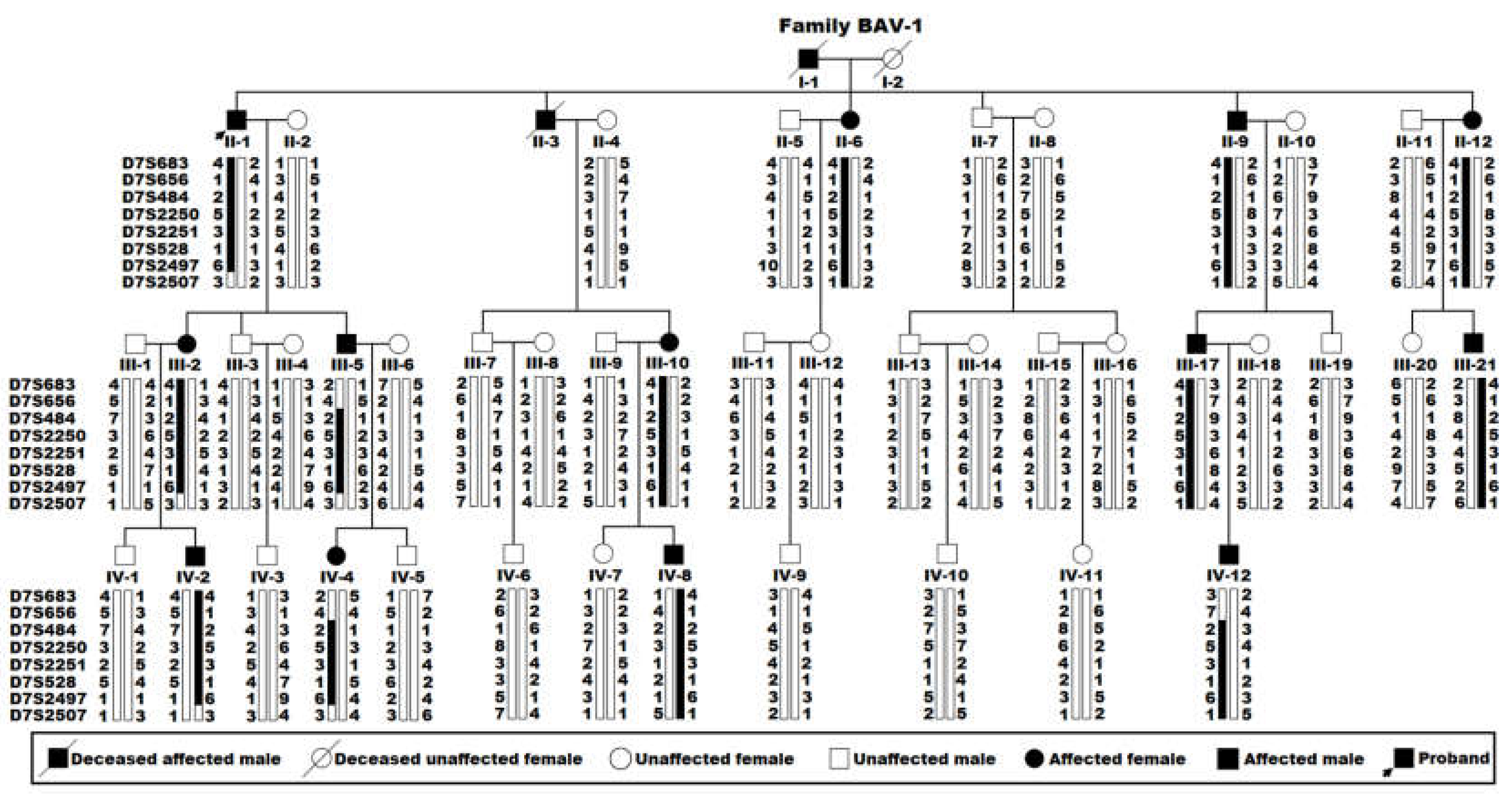 Preprints 149309 g001