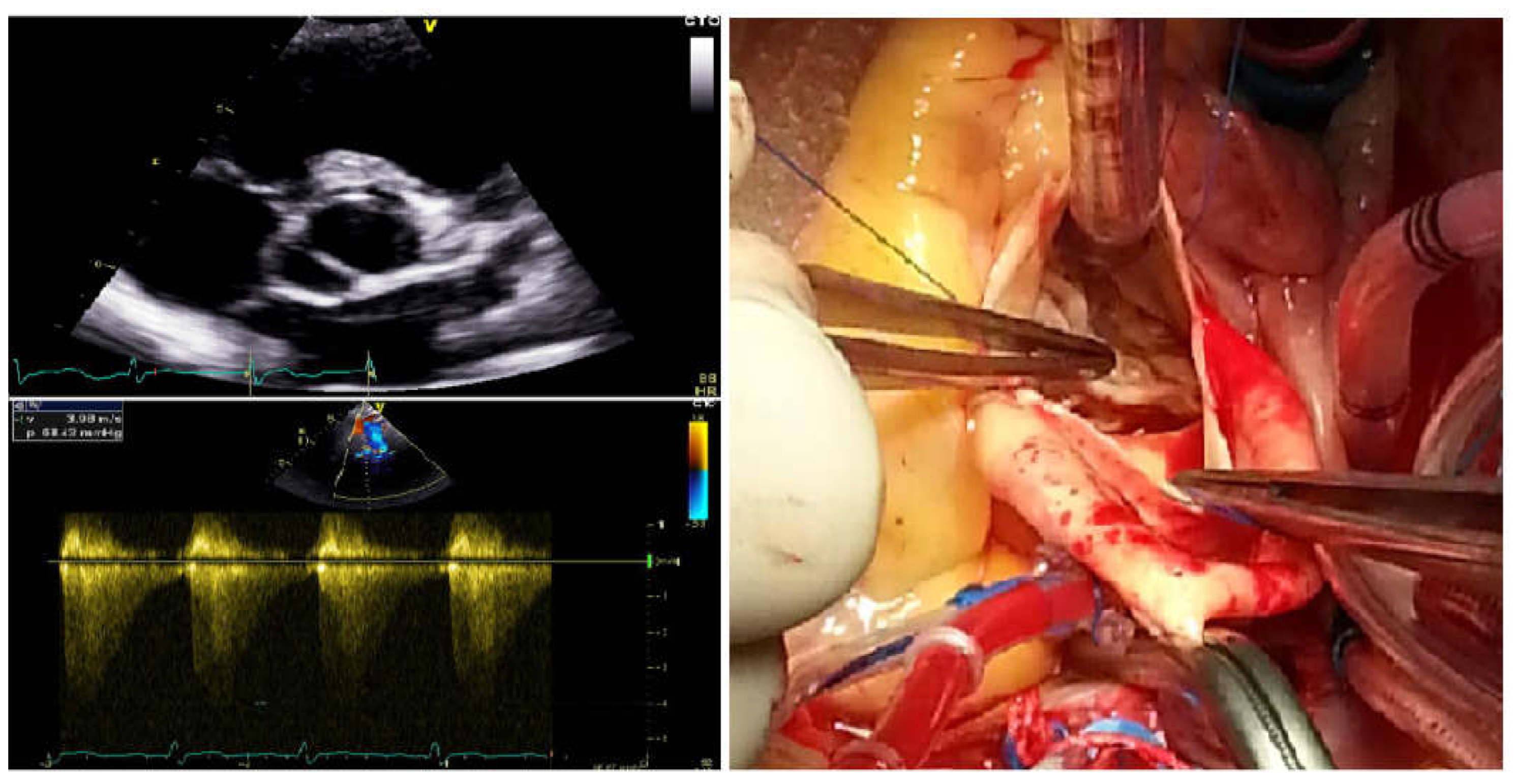 Preprints 149309 g002