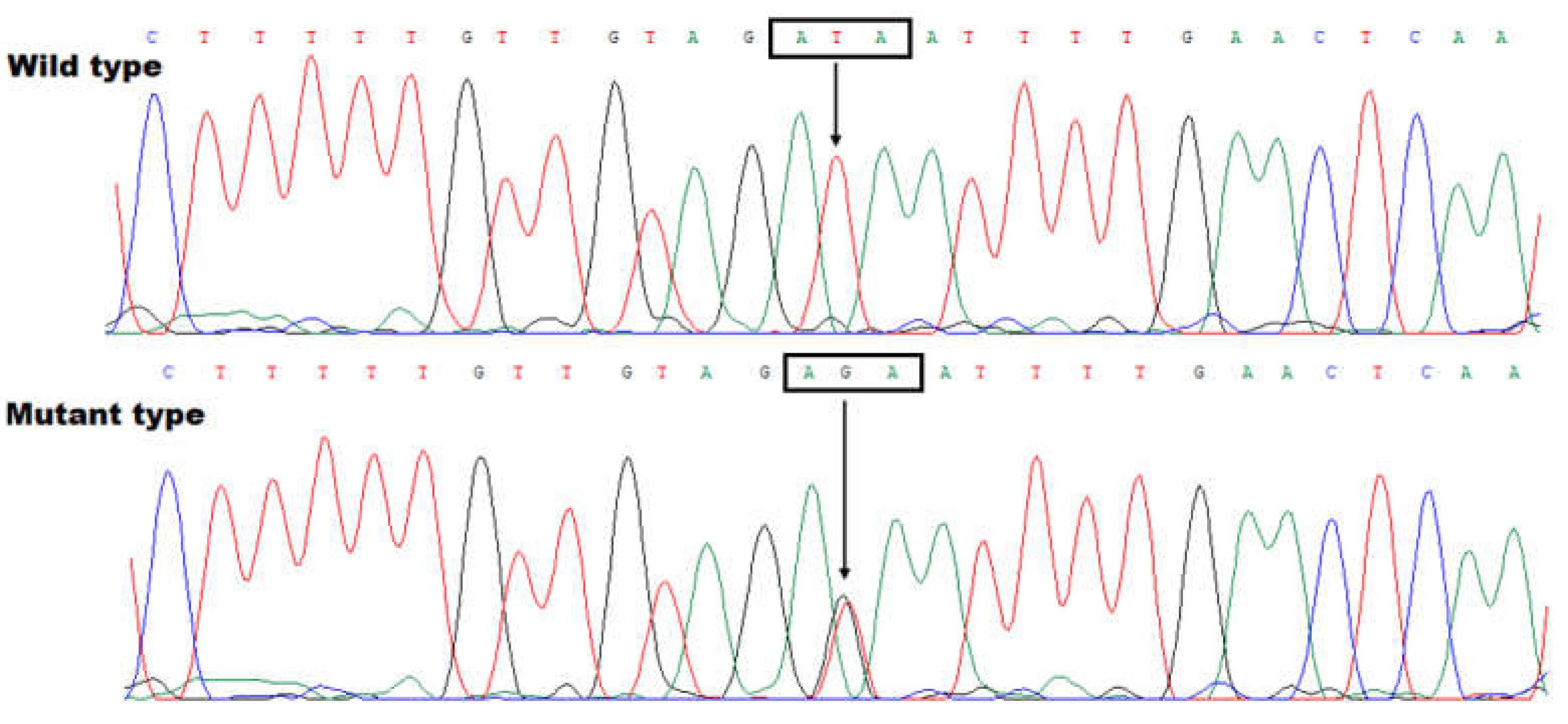 Preprints 149309 g003