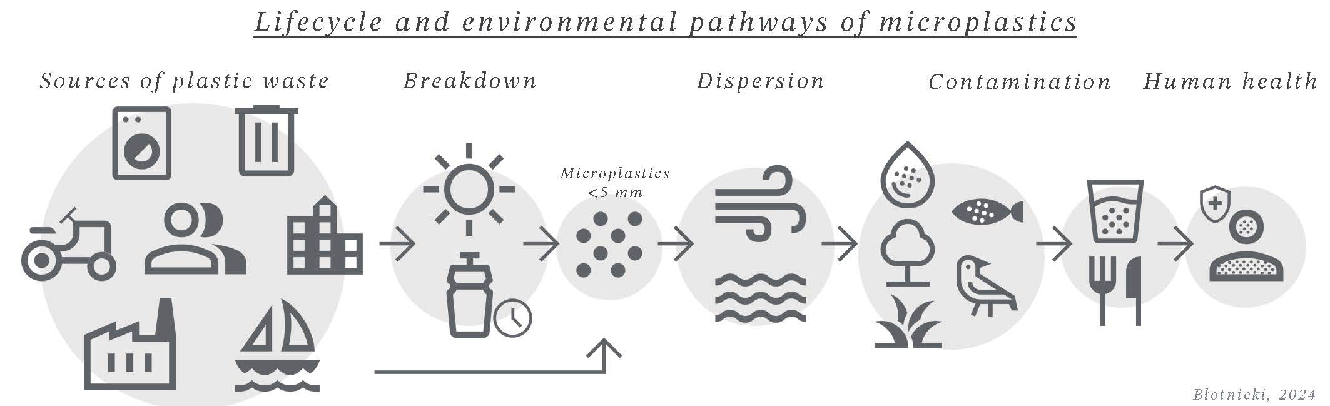 Preprints 146190 g002