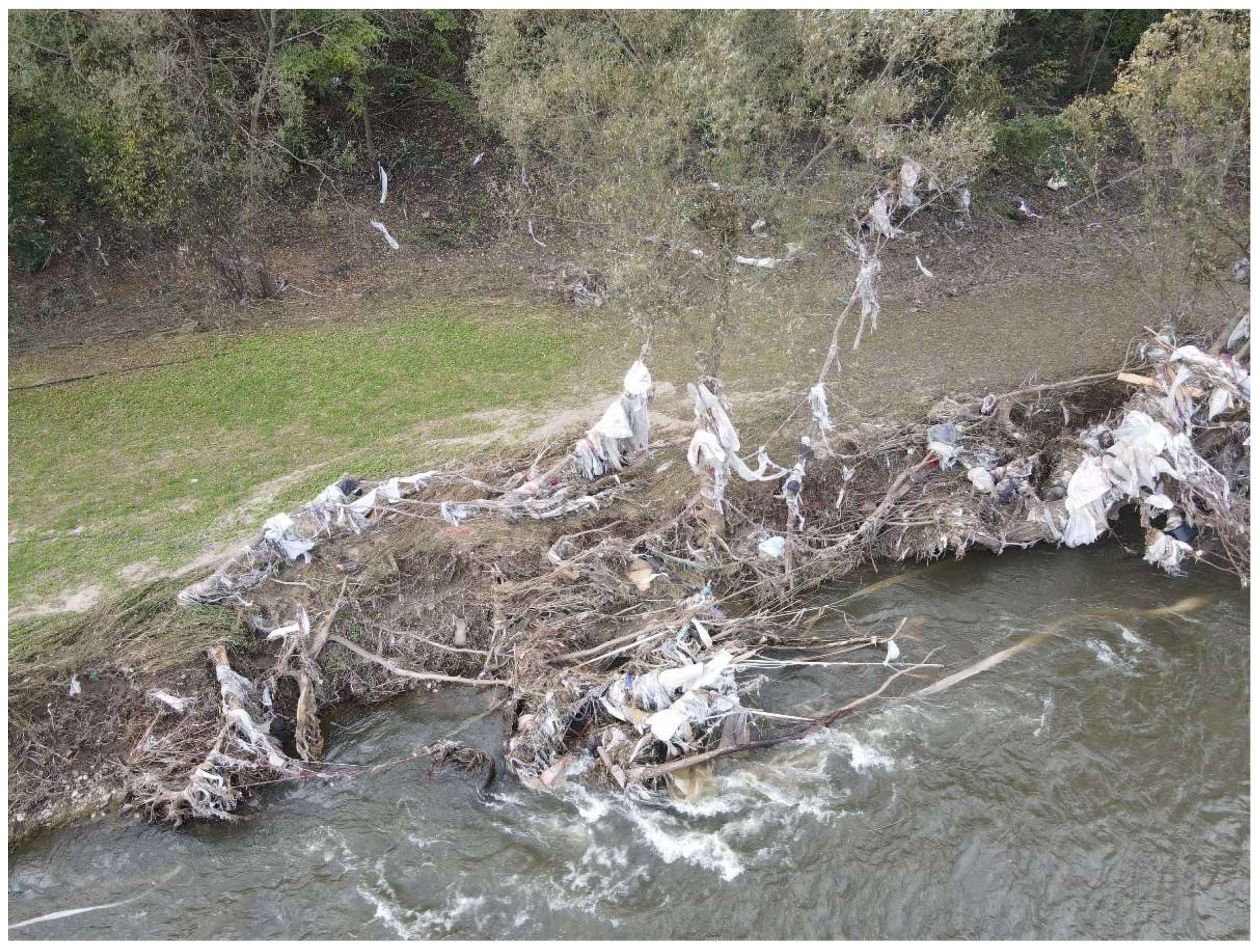 Preprints 146190 g004