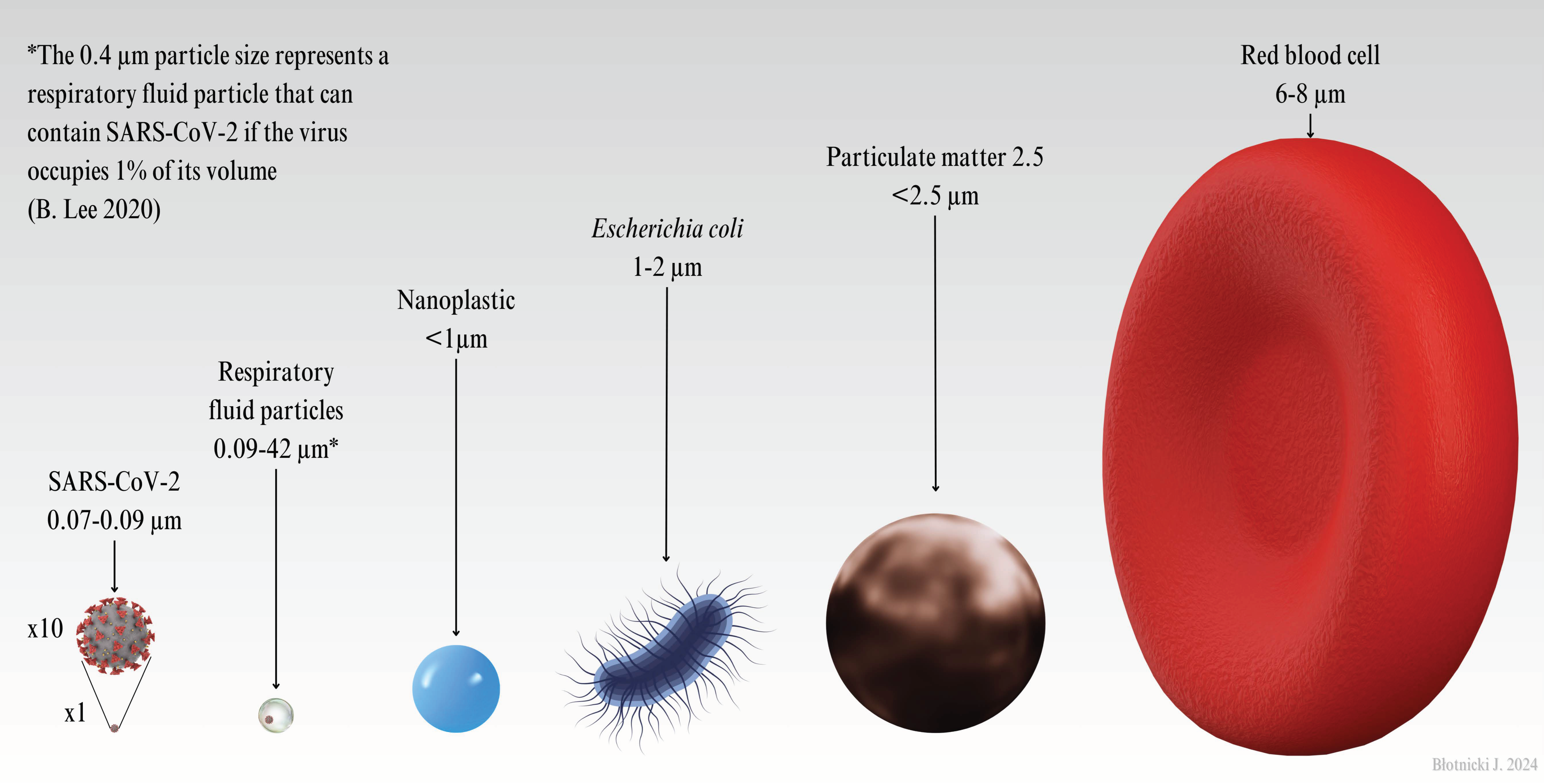 Preprints 146190 g008