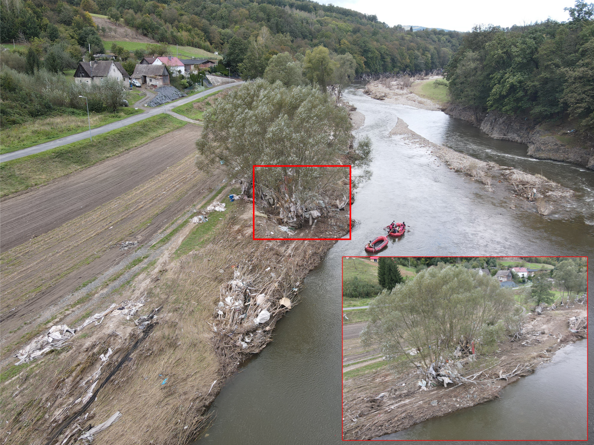 Preprints 146190 g019