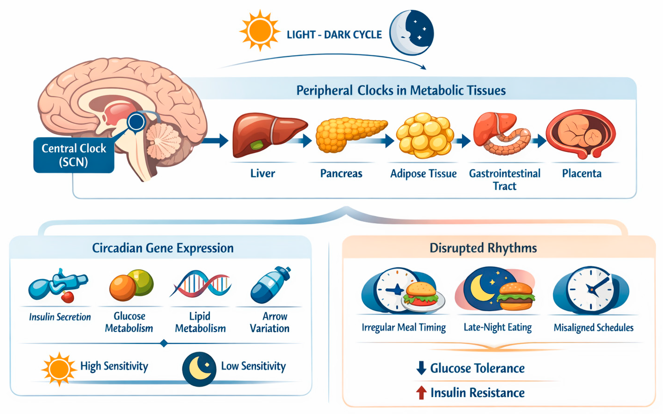 Preprints 195390 g001