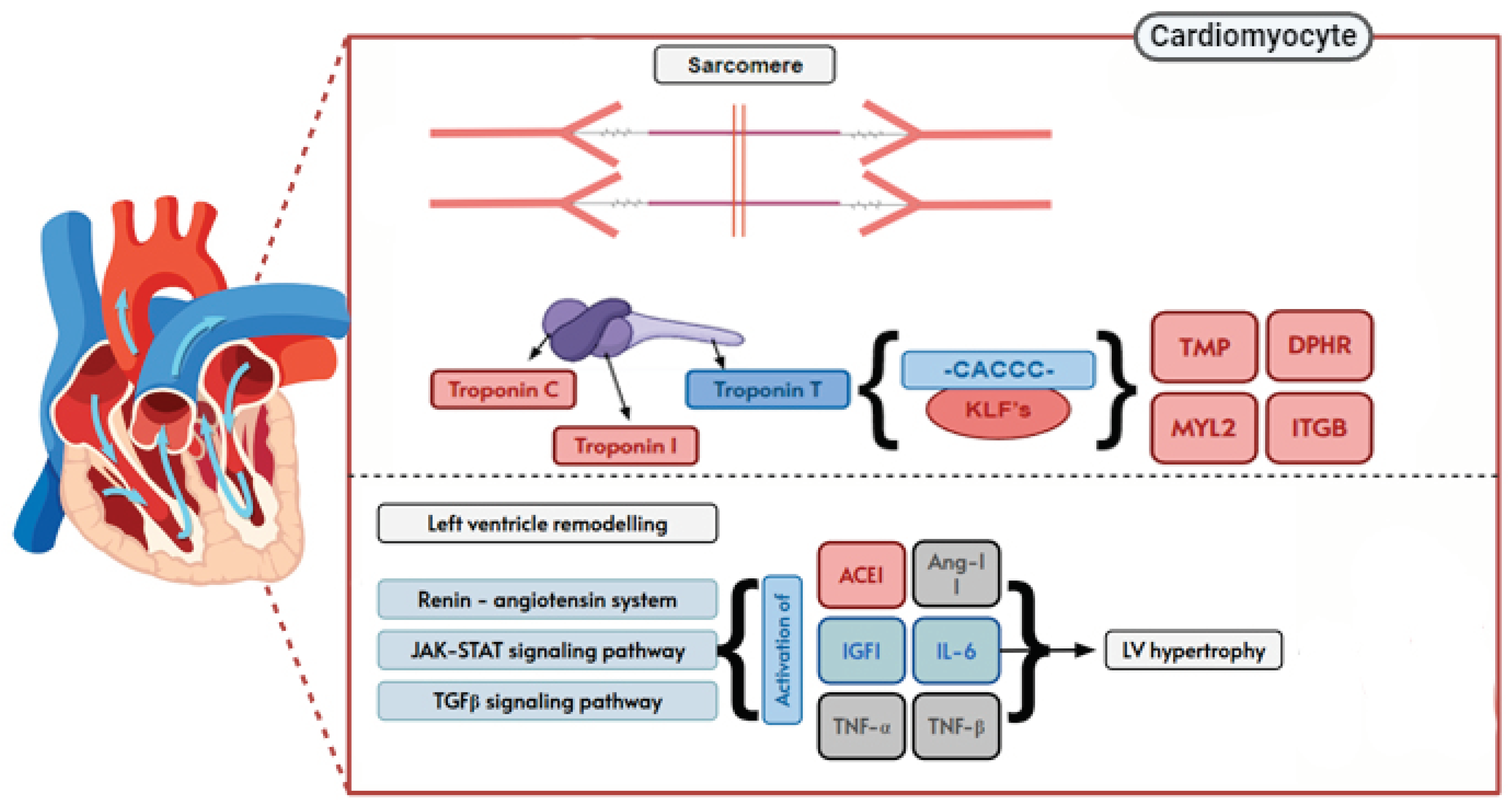 Preprints 101226 g005