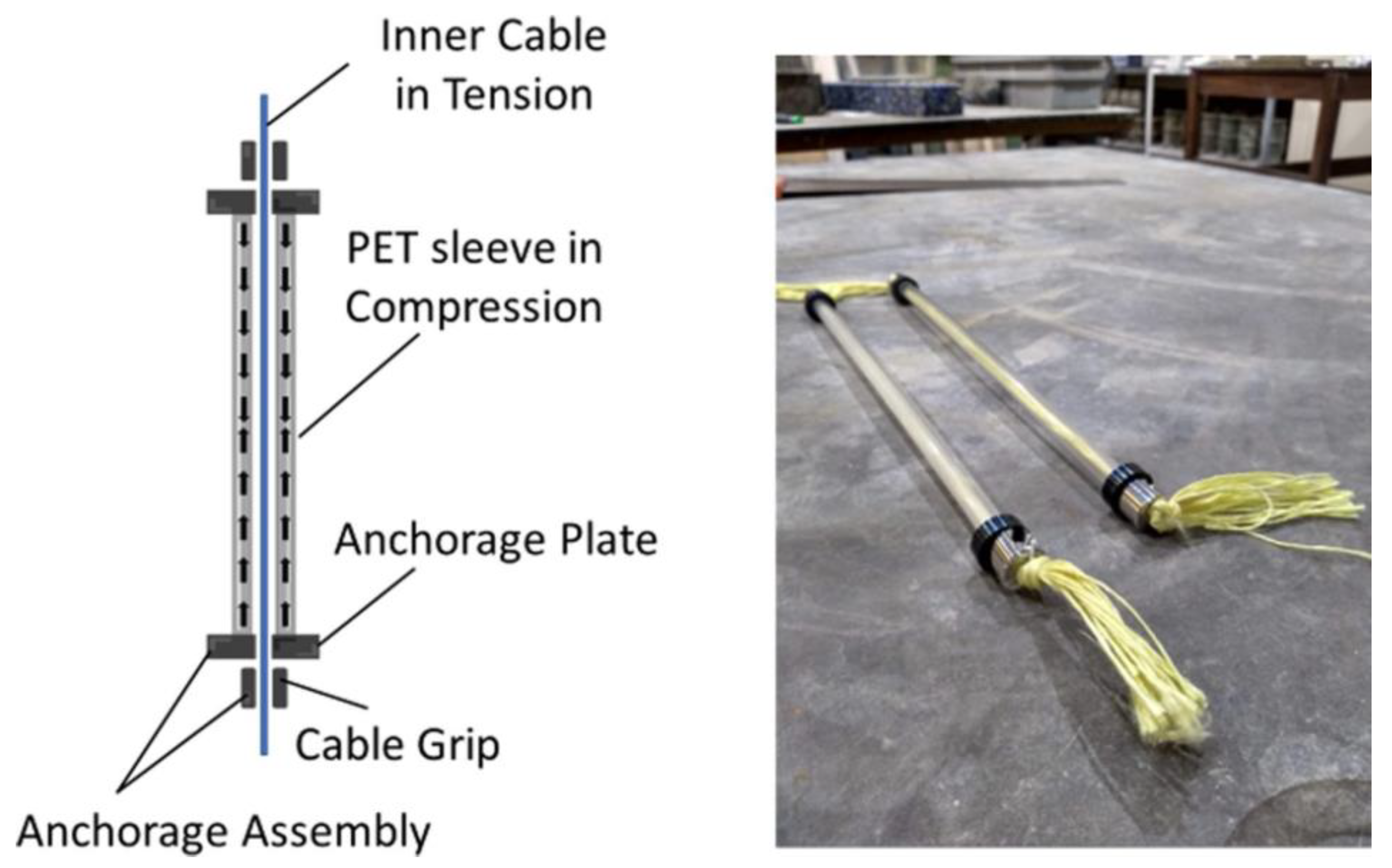 Preprints 106059 g003