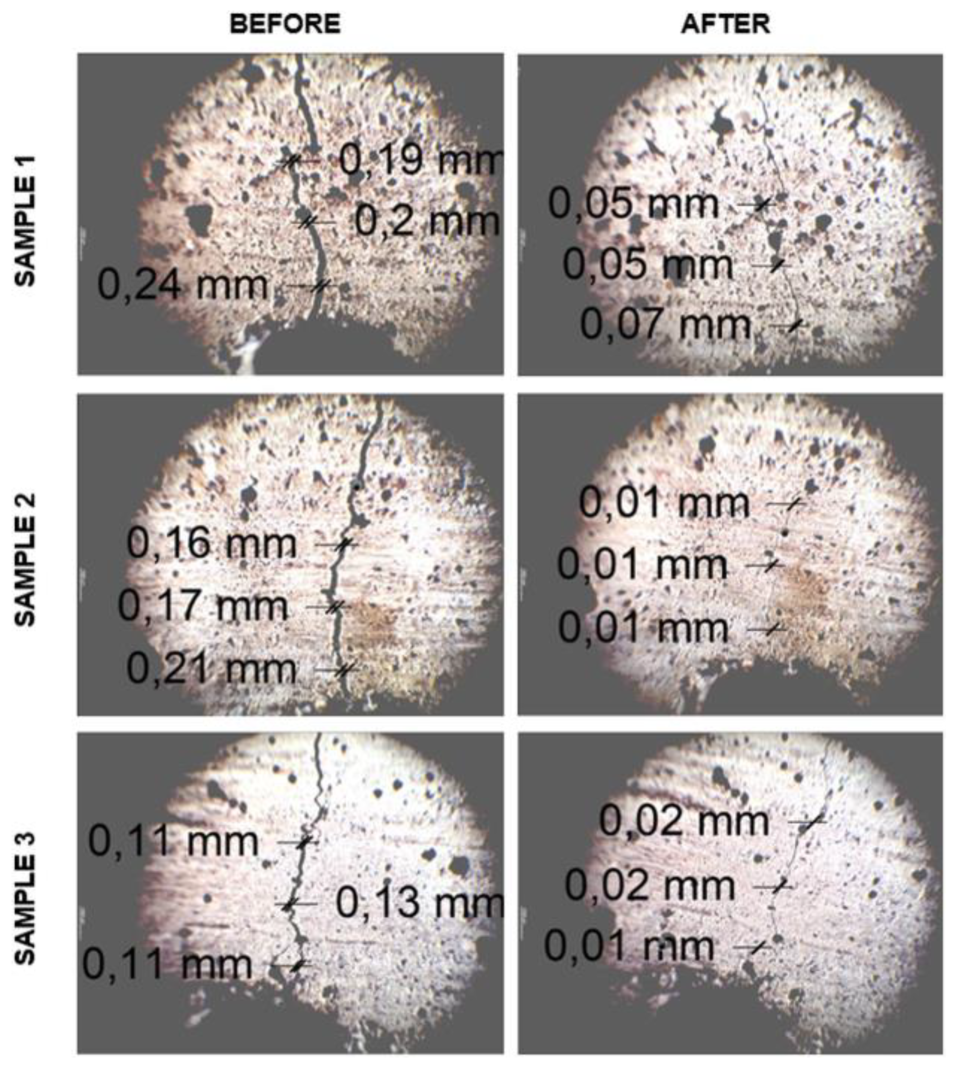 Preprints 106059 g004