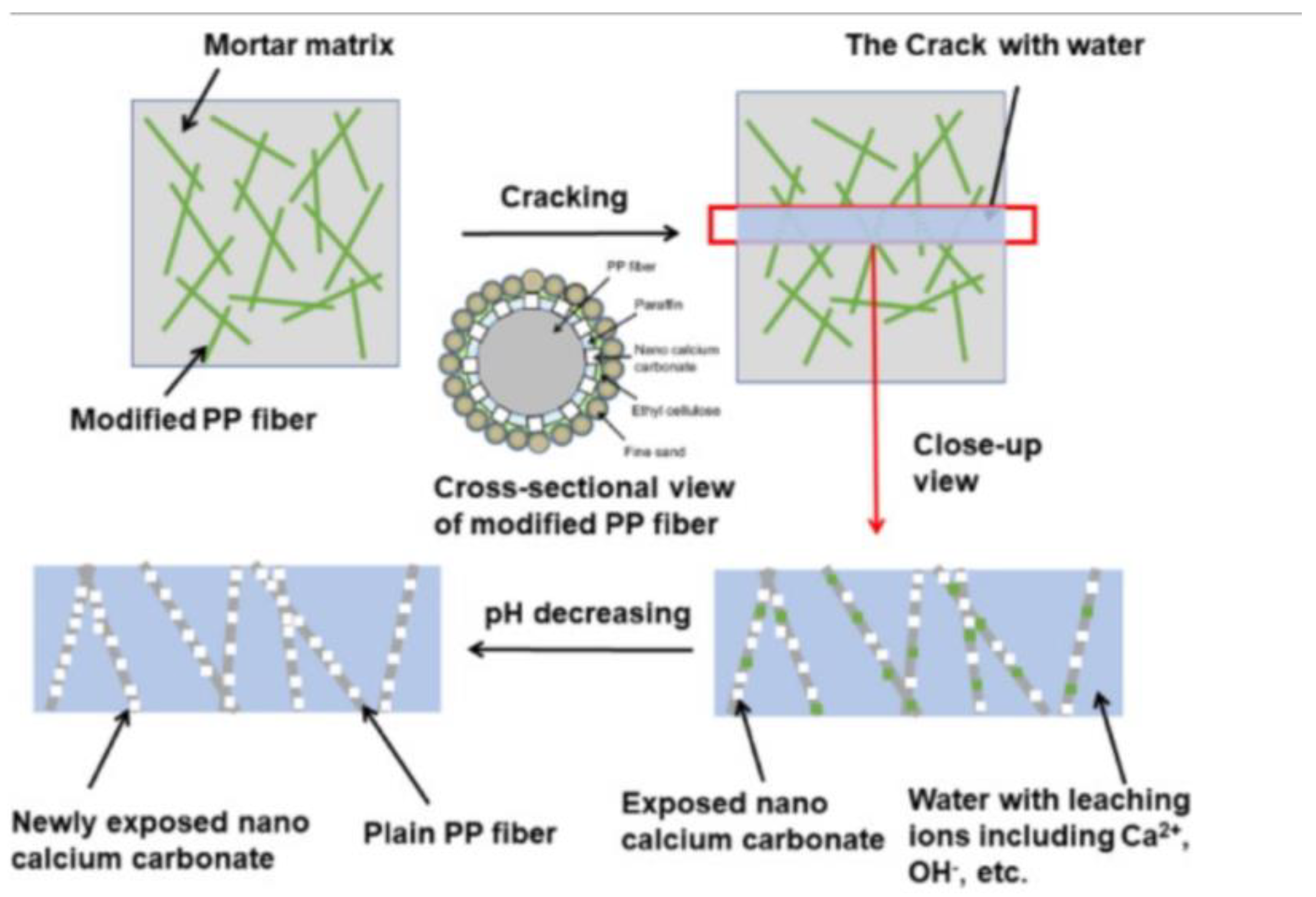 Preprints 106059 g005