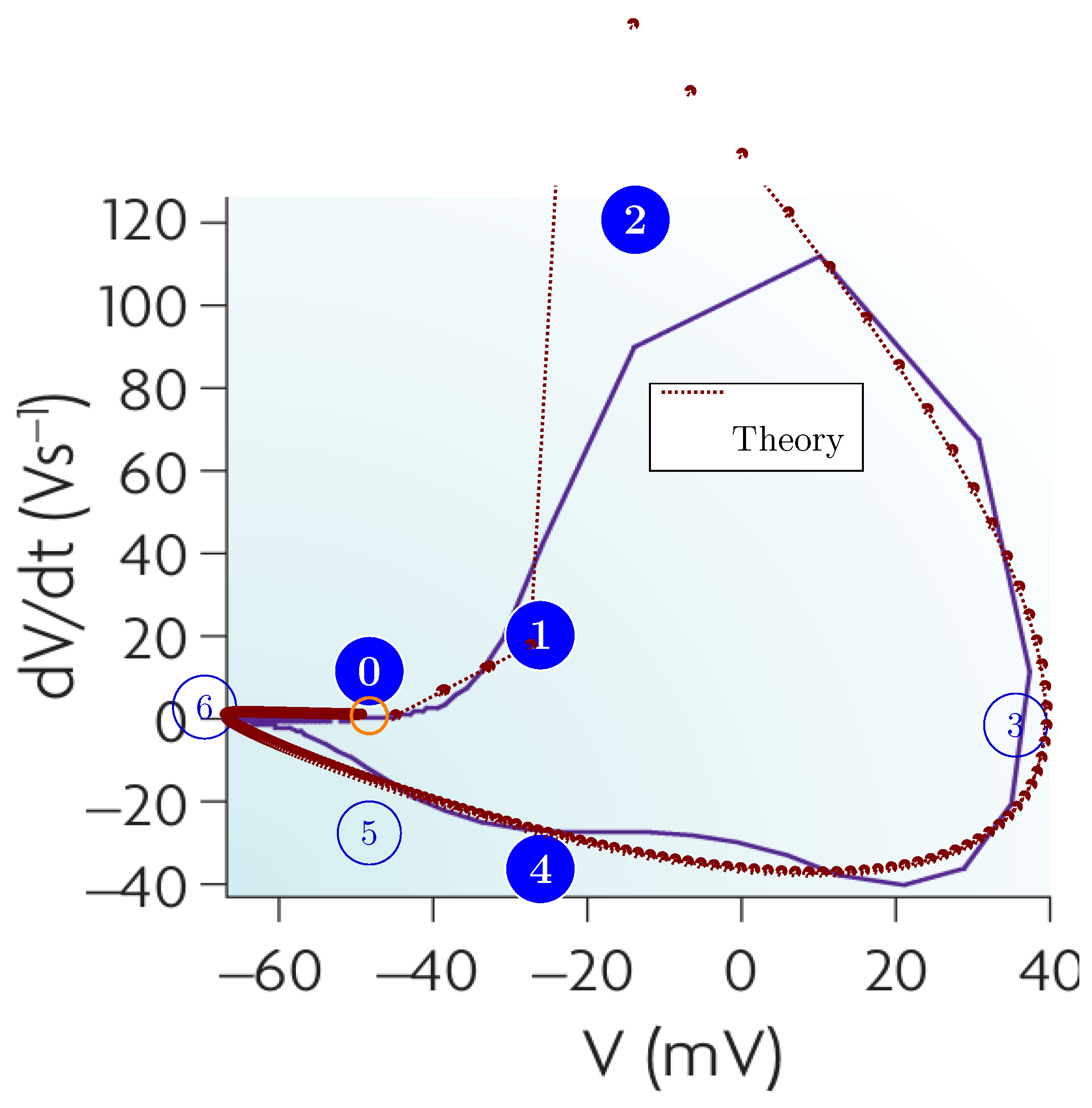 Preprints 163748 g004