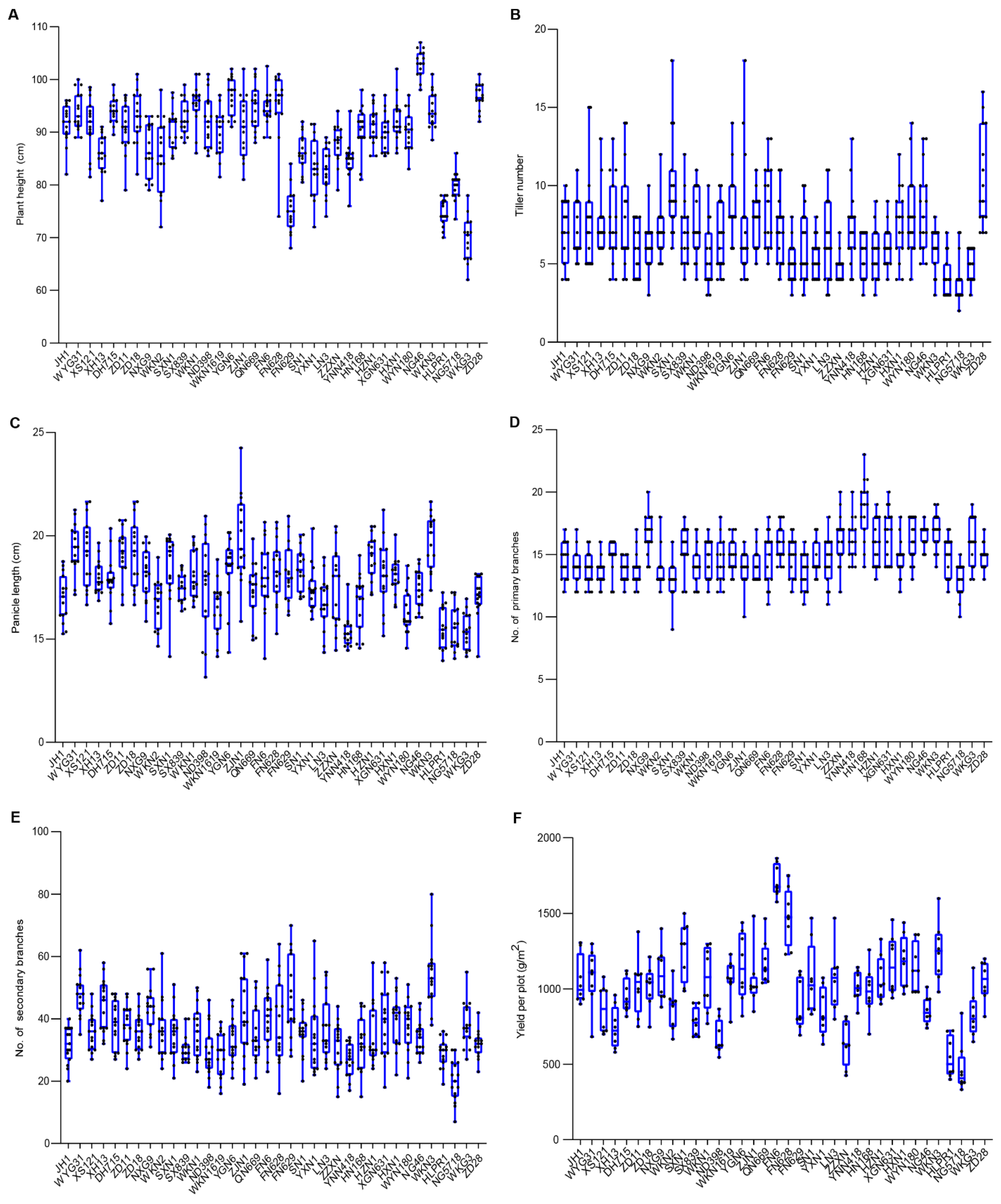 Preprints 158224 g002