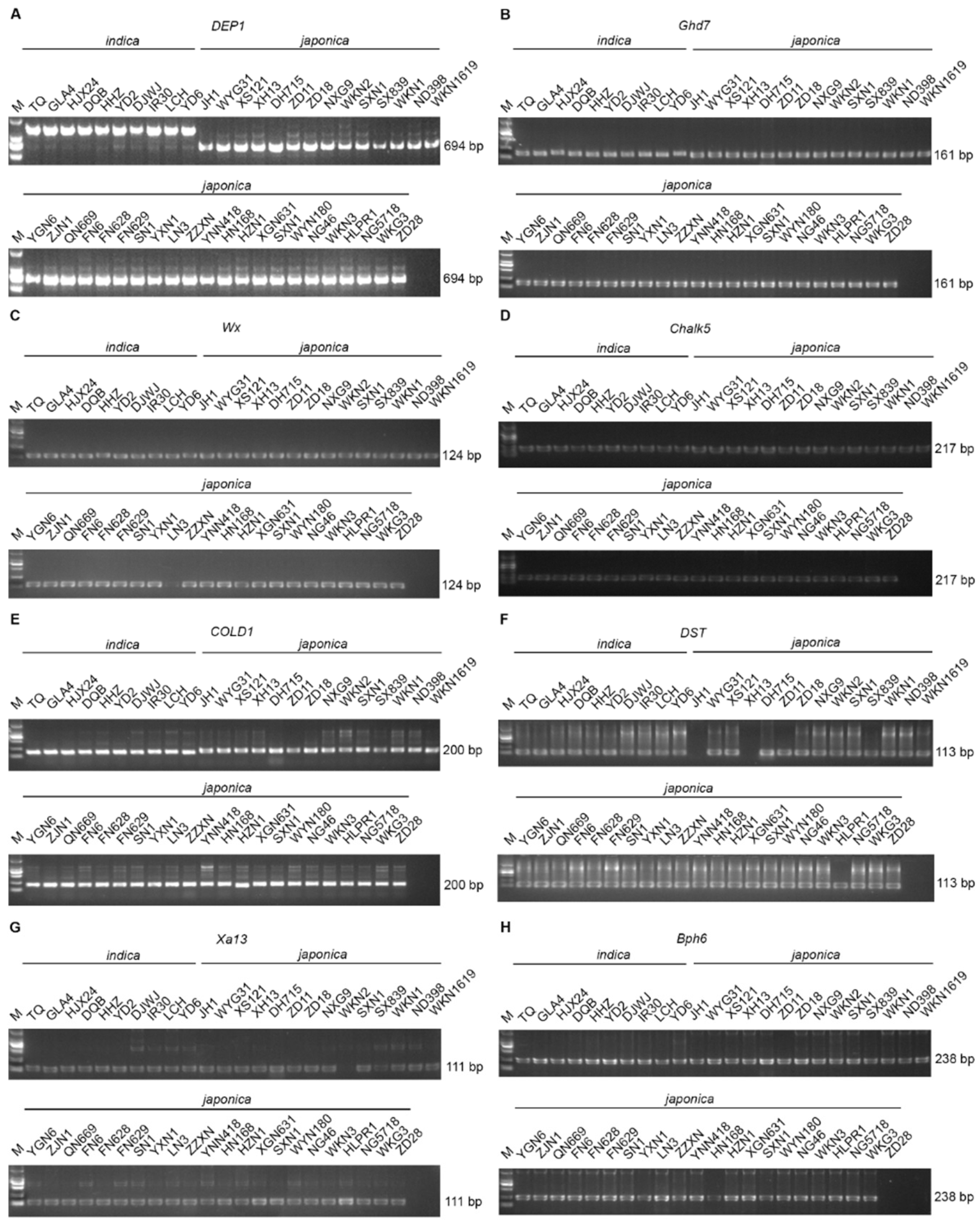 Preprints 158224 g007