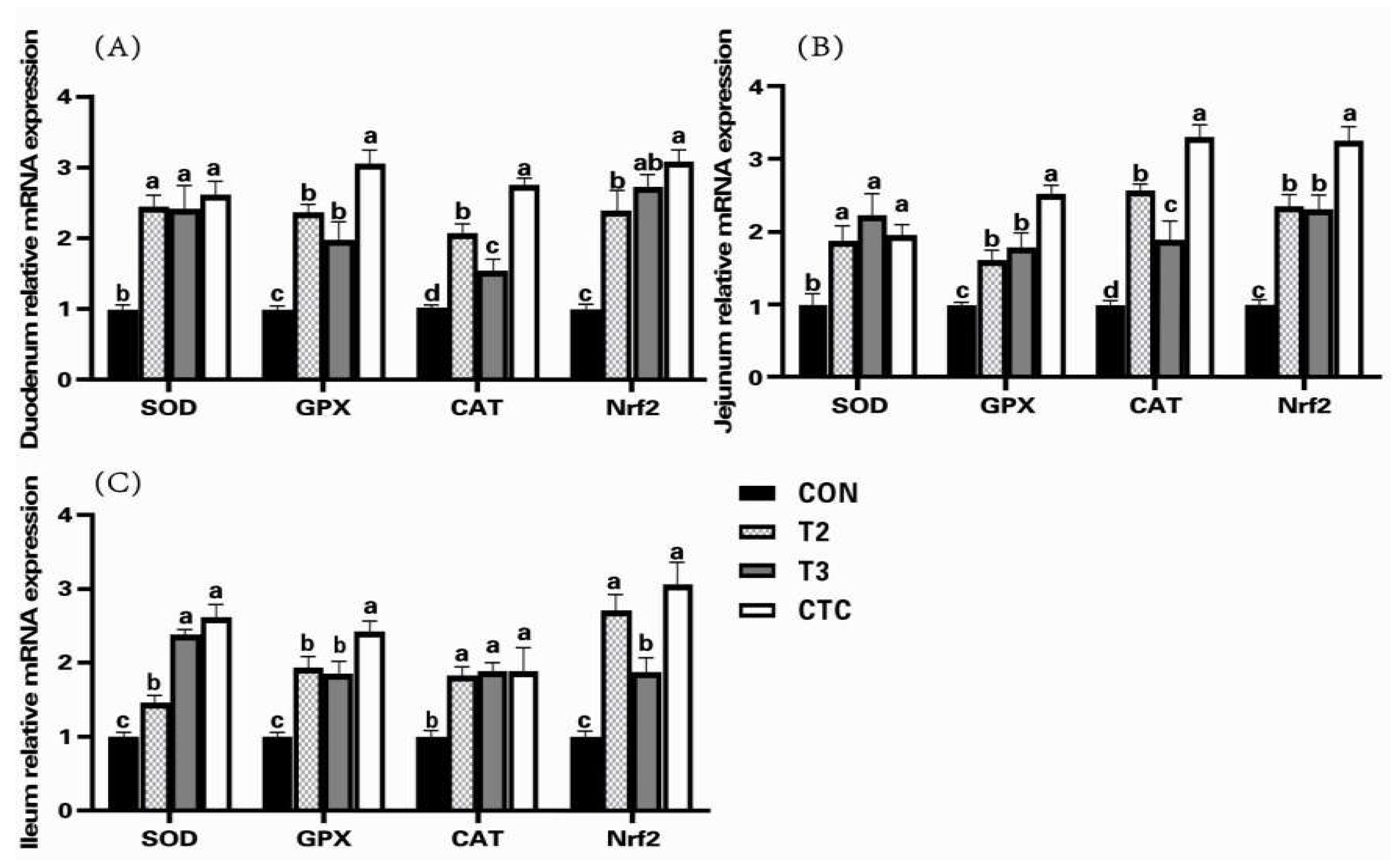 Preprints 144671 g001
