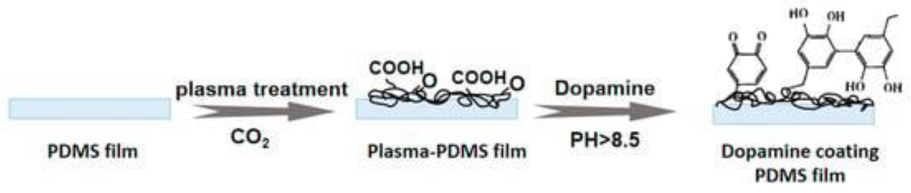 Preprints 99453 g001