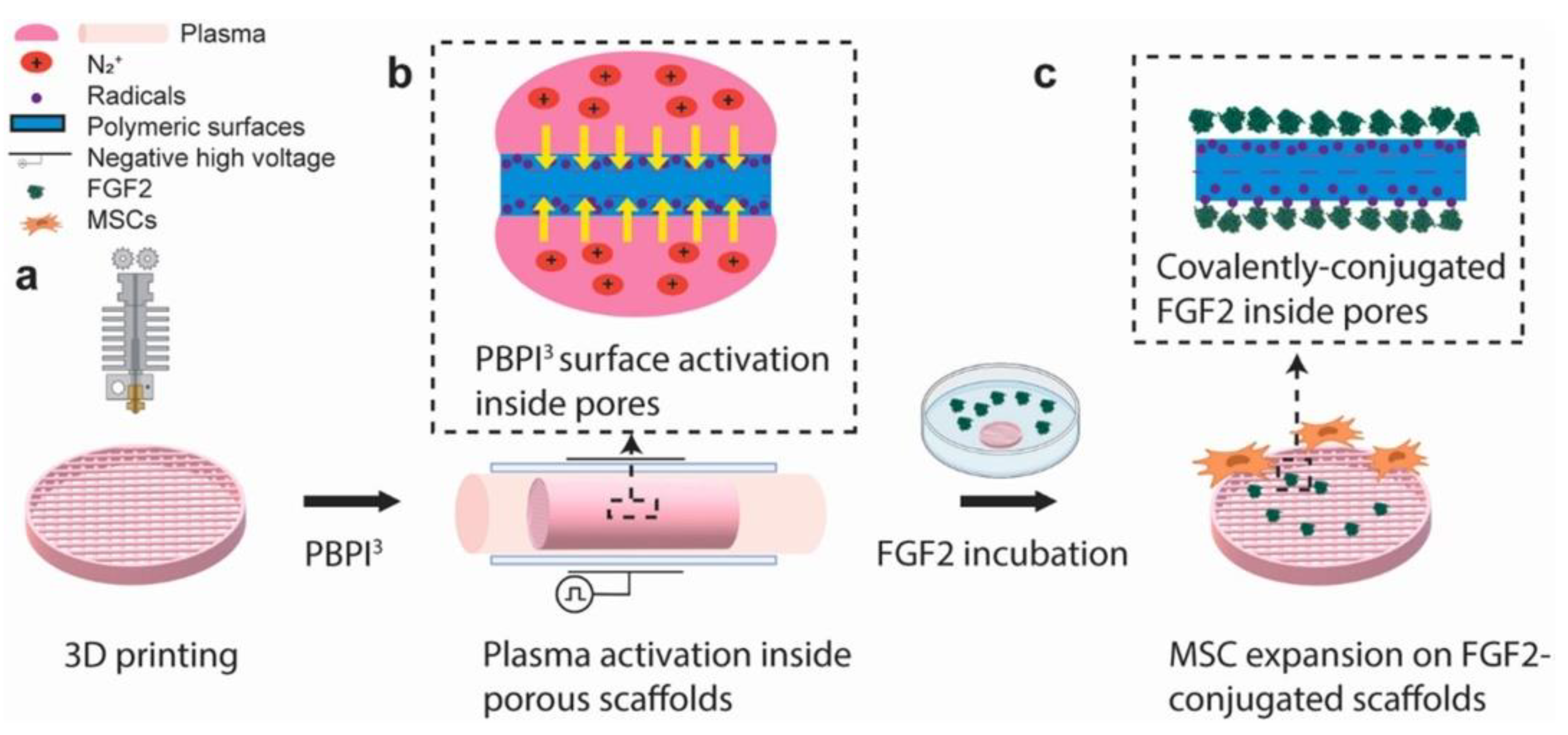 Preprints 99453 g003