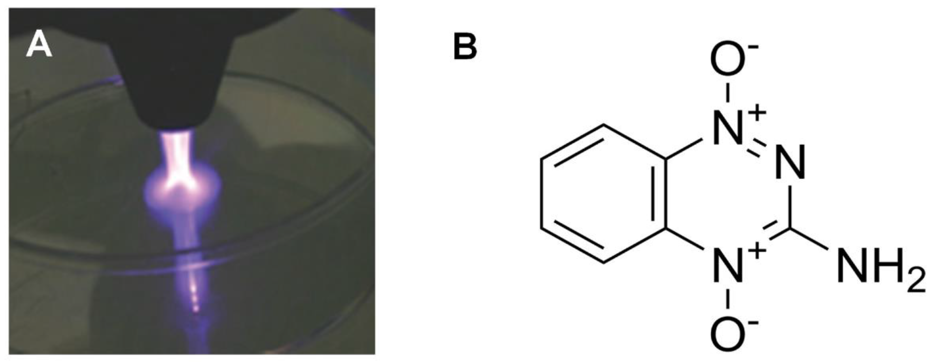 Preprints 99453 g004