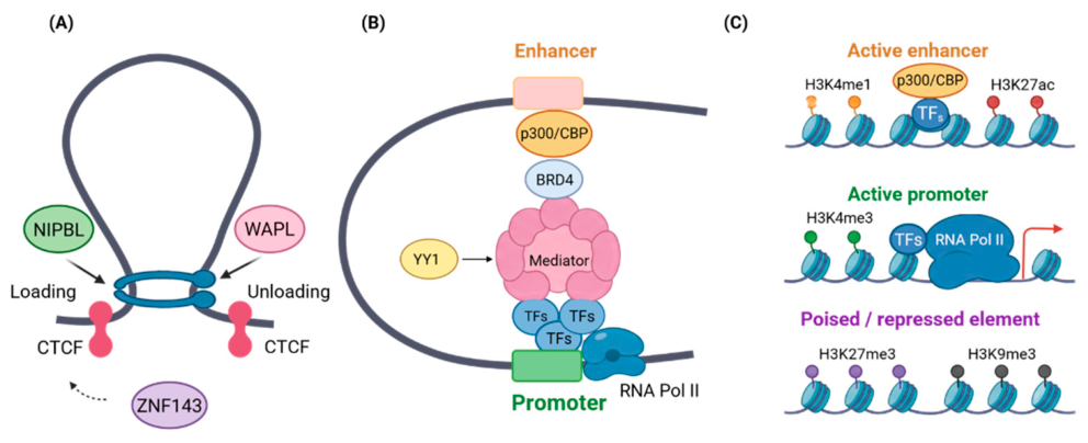 Preprints 236391 g002 Preprints 236391 g002