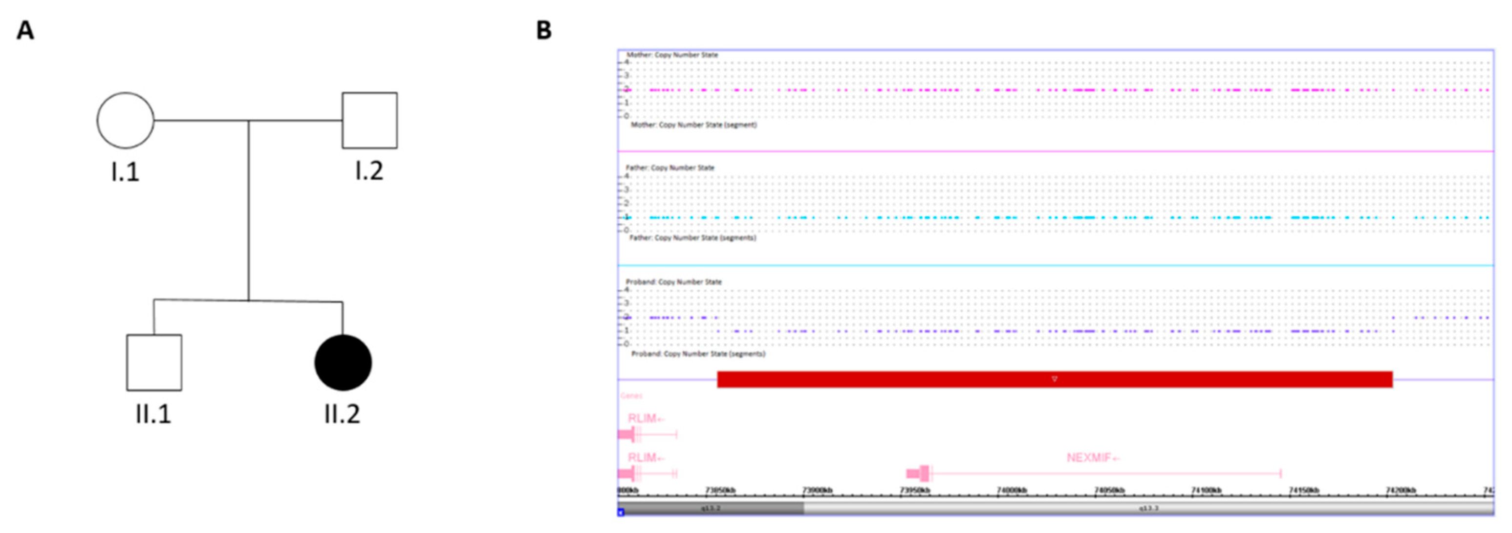 Preprints 205234 g001 Preprints 205234 g001