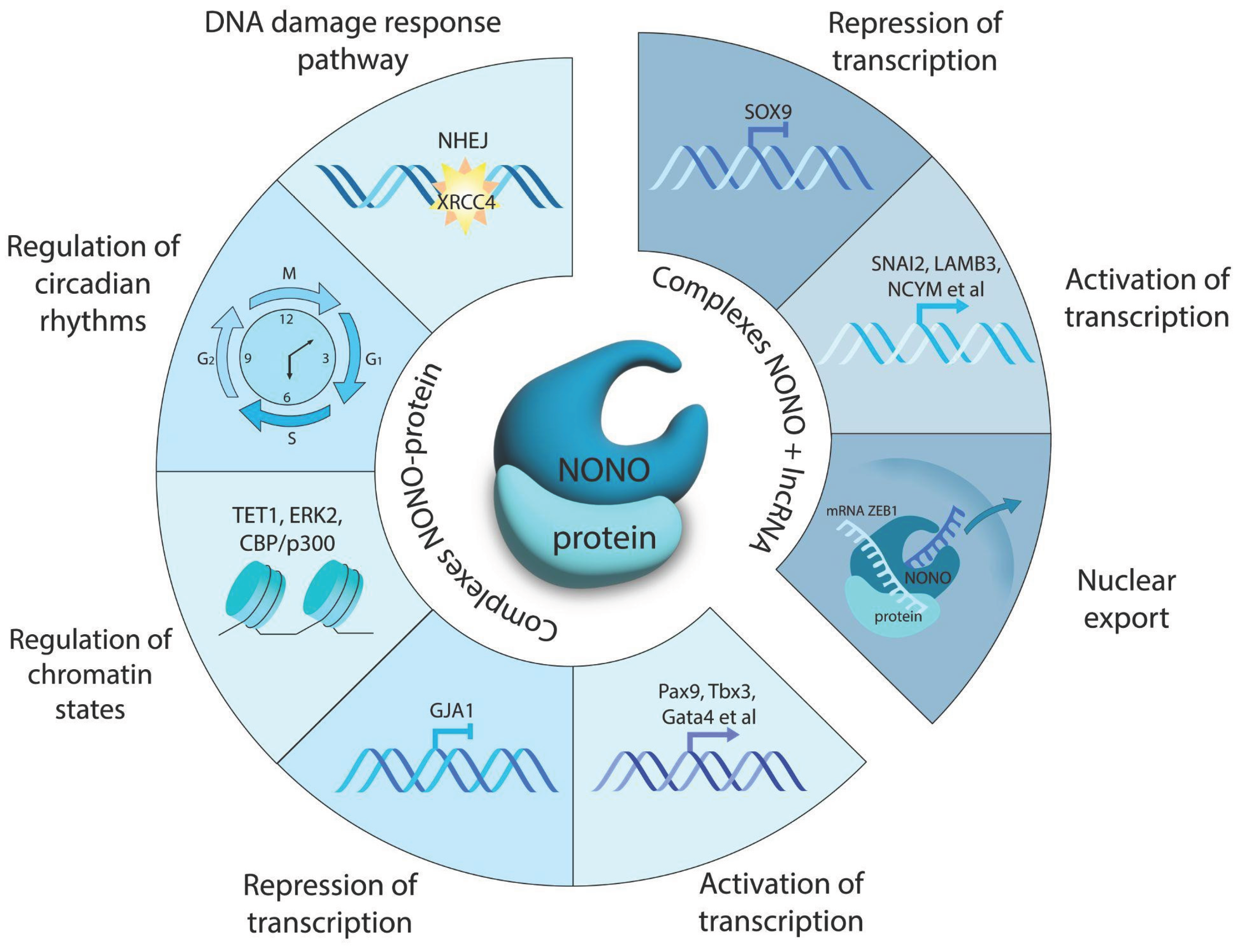 Preprints 175017 g001