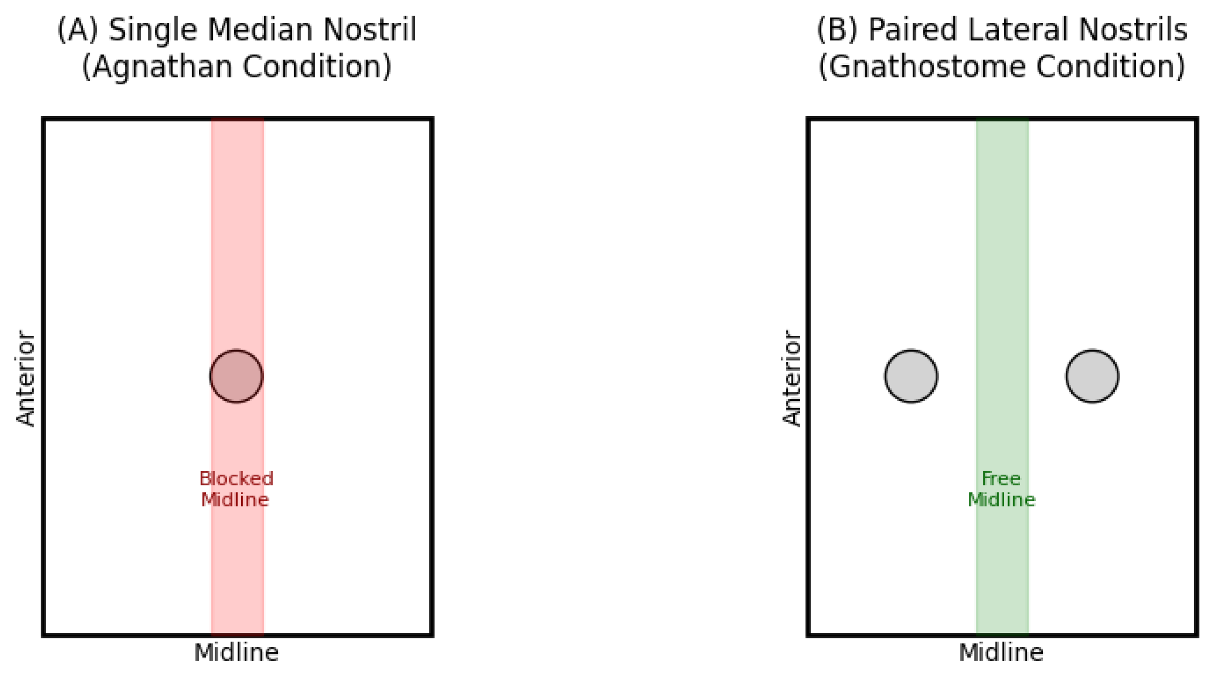 Preprints 159741 g001