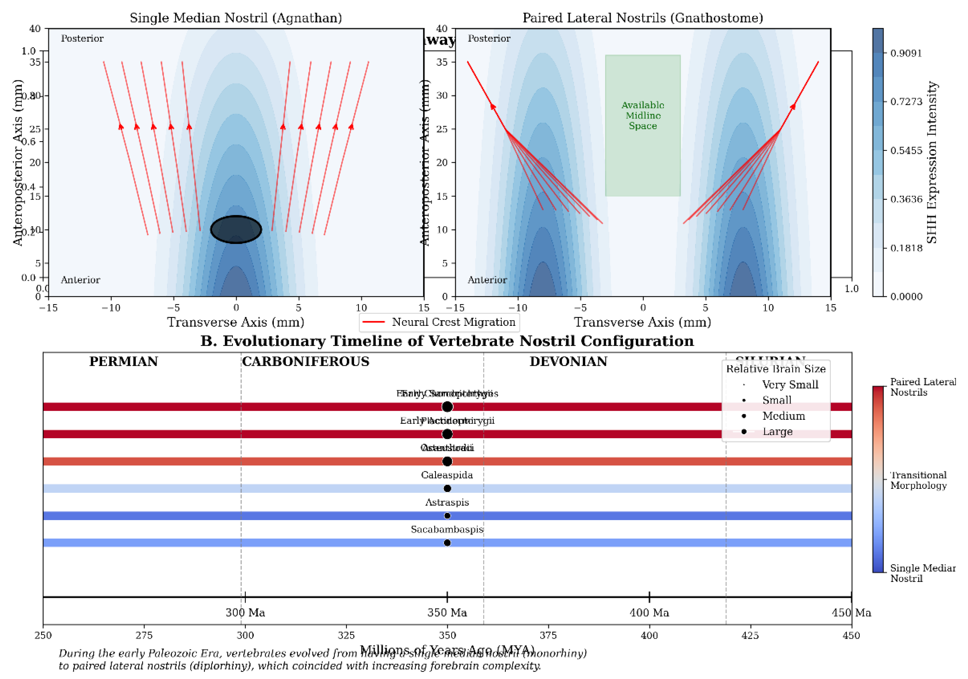 Preprints 159741 g004