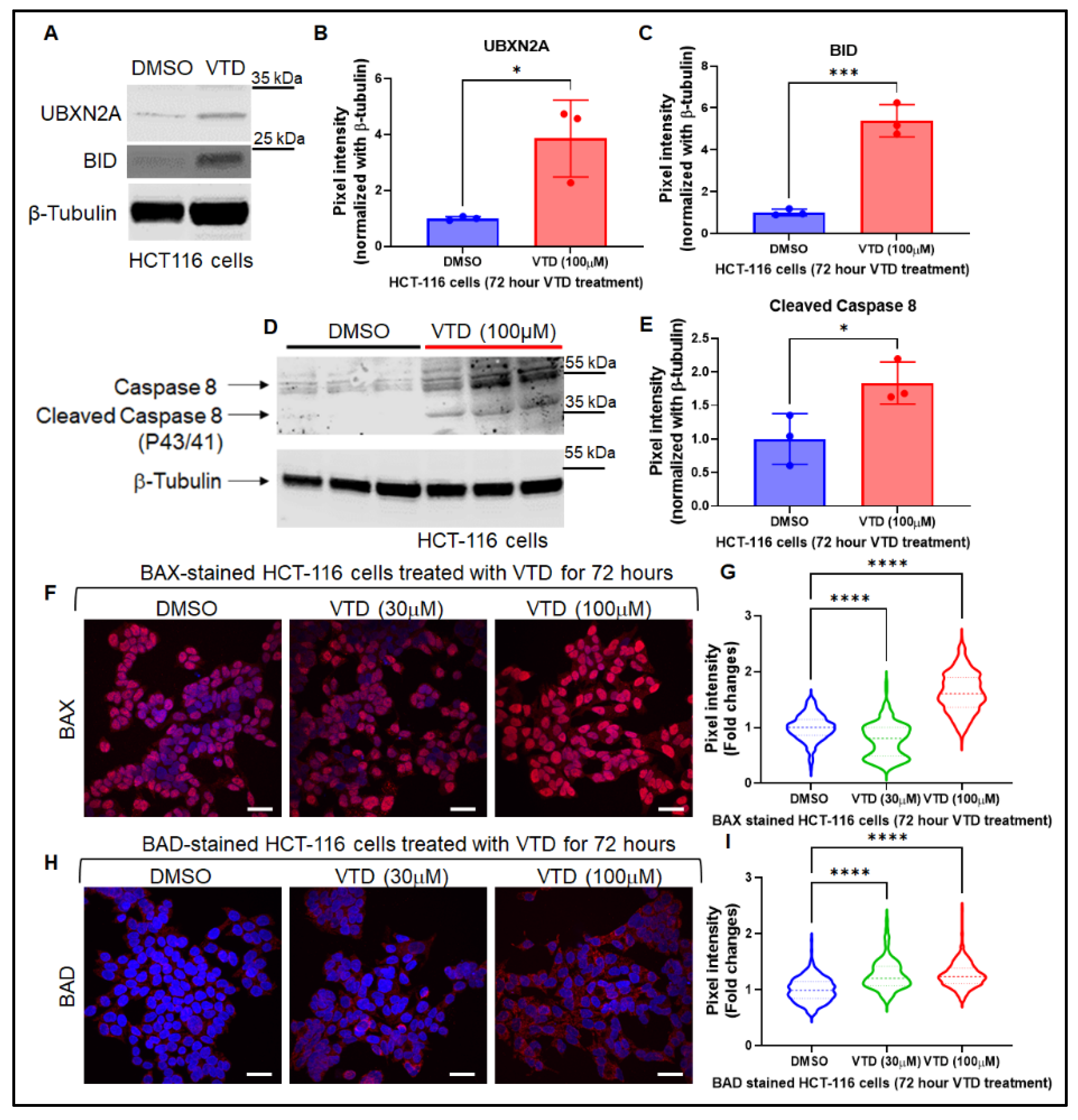 Preprints 173007 g001